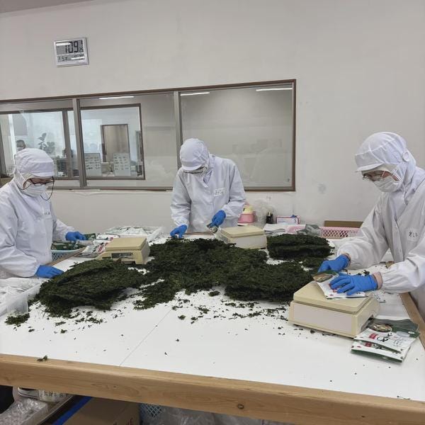 Premium Japanese Dried Wakame Seaweed | Mie Prefecture | For Miso Soup & Seaweed Salad | 20g | Product of Japan
