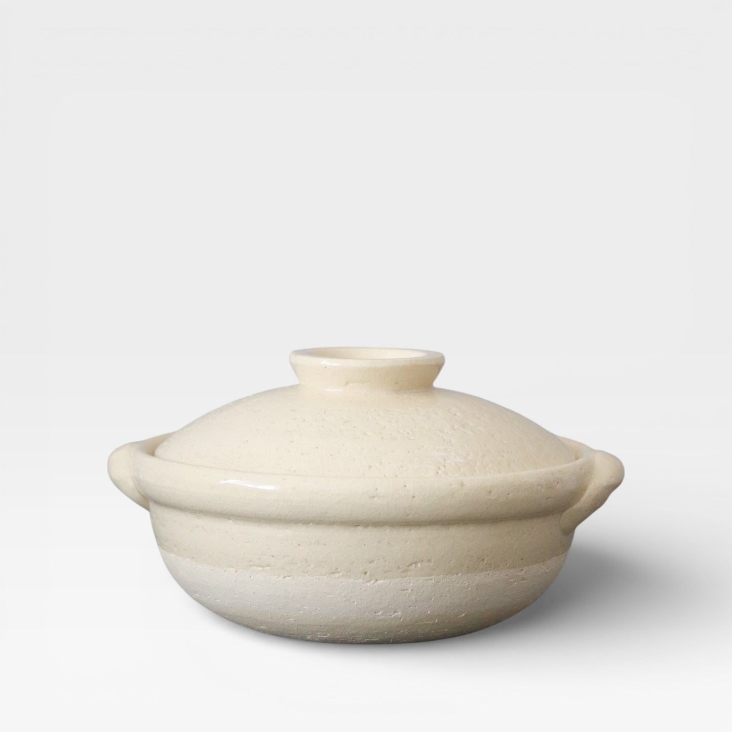 TOJIKI Ko-Iga Donabe Clay Pot No.6