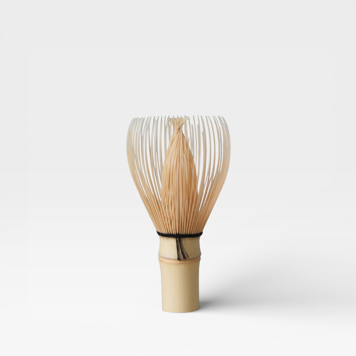 Authentic Japanese Chasen Matcha Whisk, Shin (True)