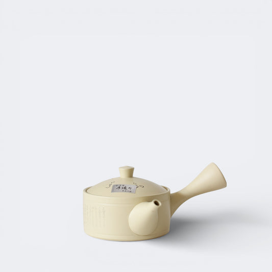 Japanese Vintage Tokoname Kyusu Teapot