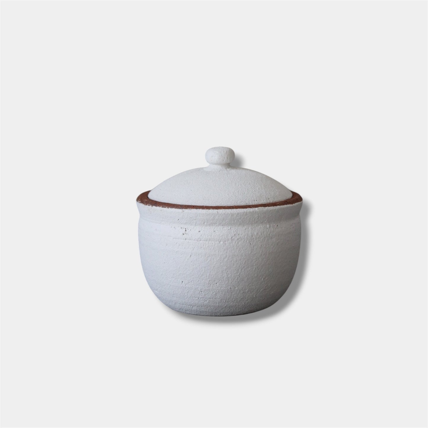 Japanese Shigaraki Salt Jar