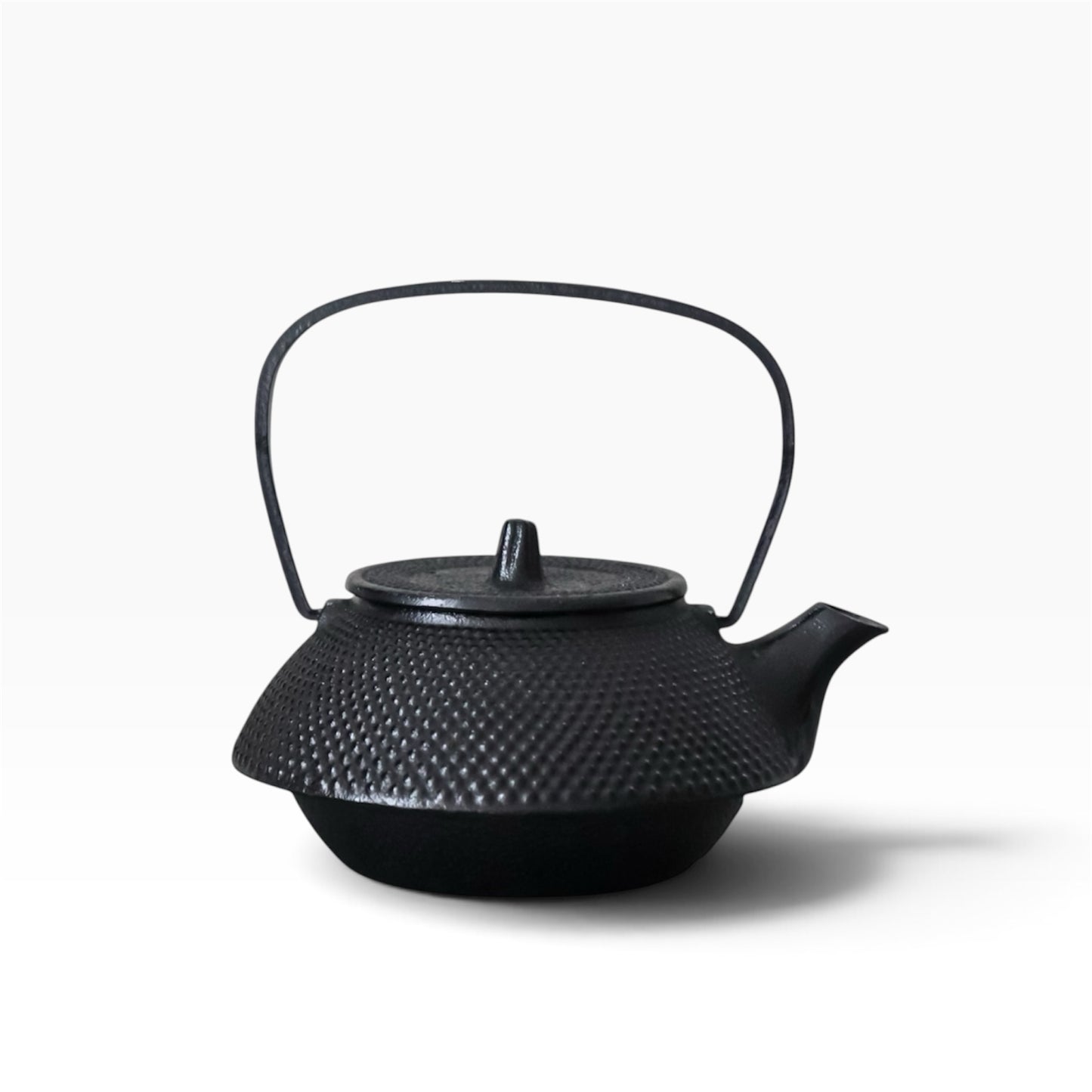 Vintage Nambu Tekki Cast Iron Teapot by Sangendo with Tea Infuser