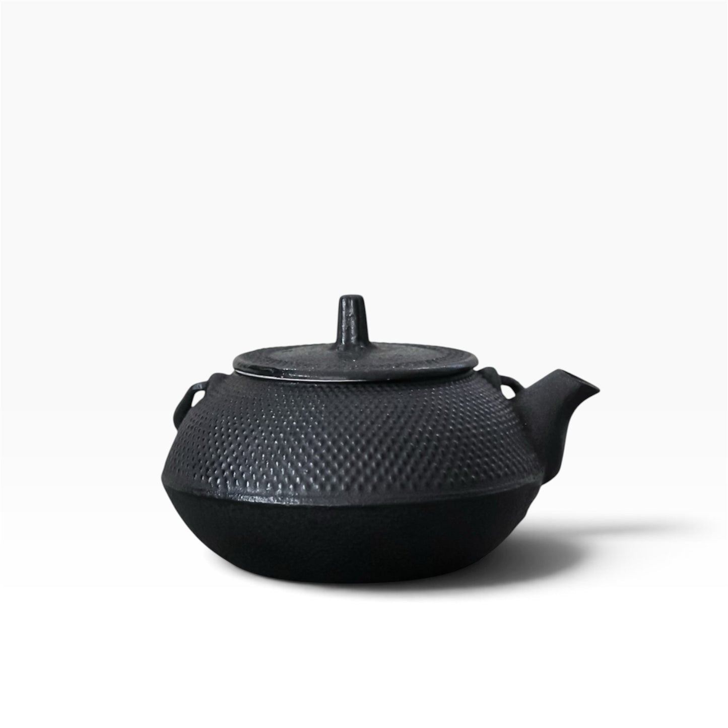Vintage Nambu Tekki Cast Iron Teapot with Tea Infuser