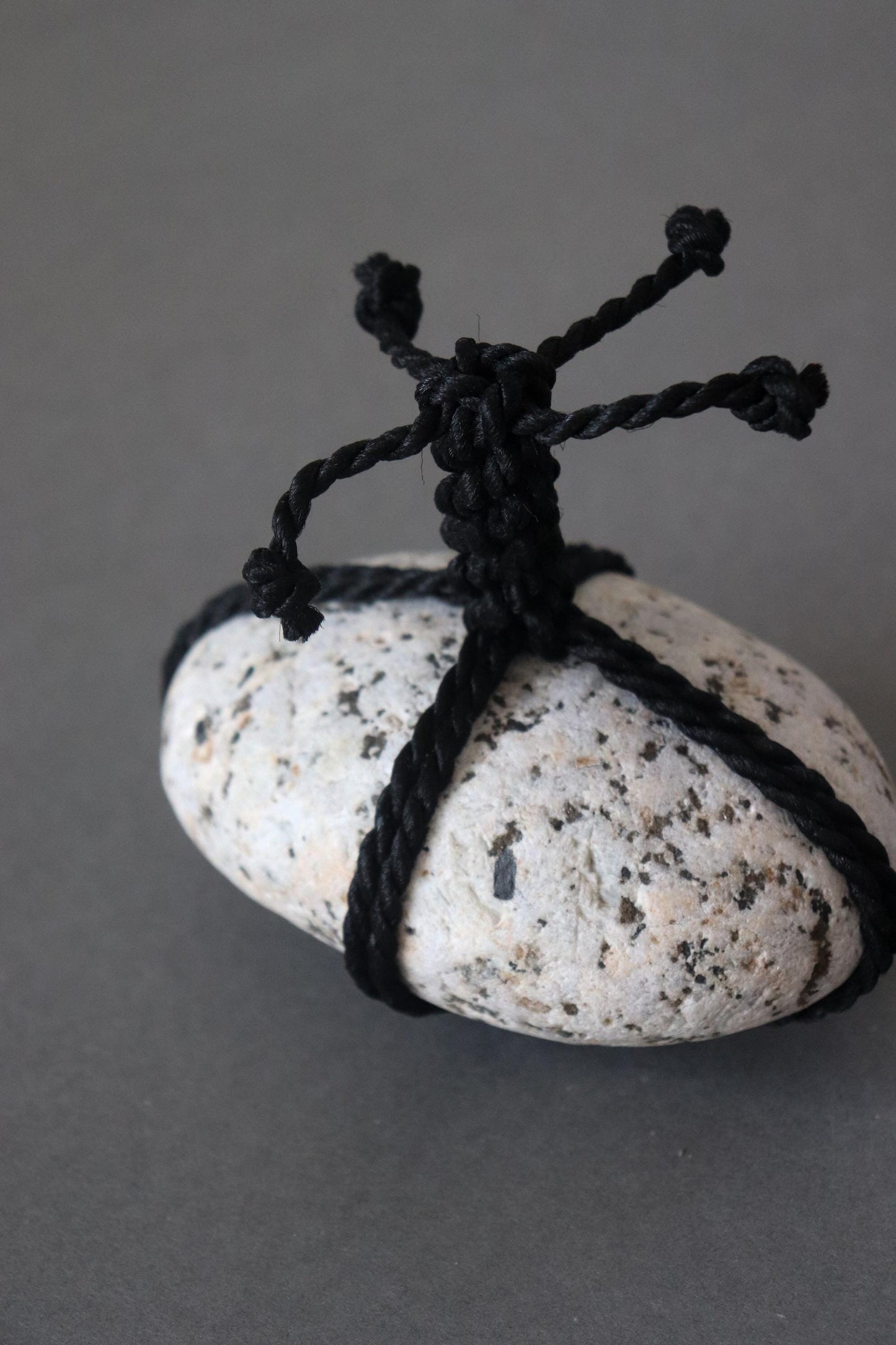 Sekimori-ishi Guardian Stone, Himekawa Granite from Niigata Japan, Hand-Tied with Rope, Zen Garden Art,Wabi-Sabi Ritual Object,One-of-a-Kind