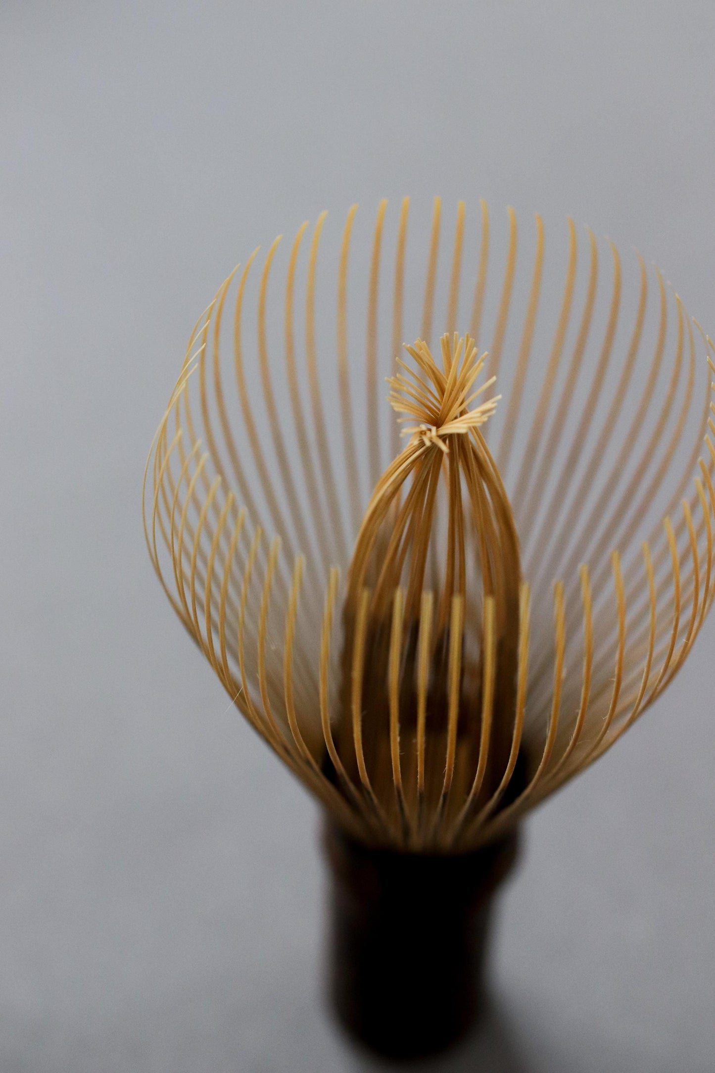 Black Bamboo Matcha Whisk (Chasen) | Takayama Handmade Tea Whisk | Omotesenke Practice Whisk | Made in Japan