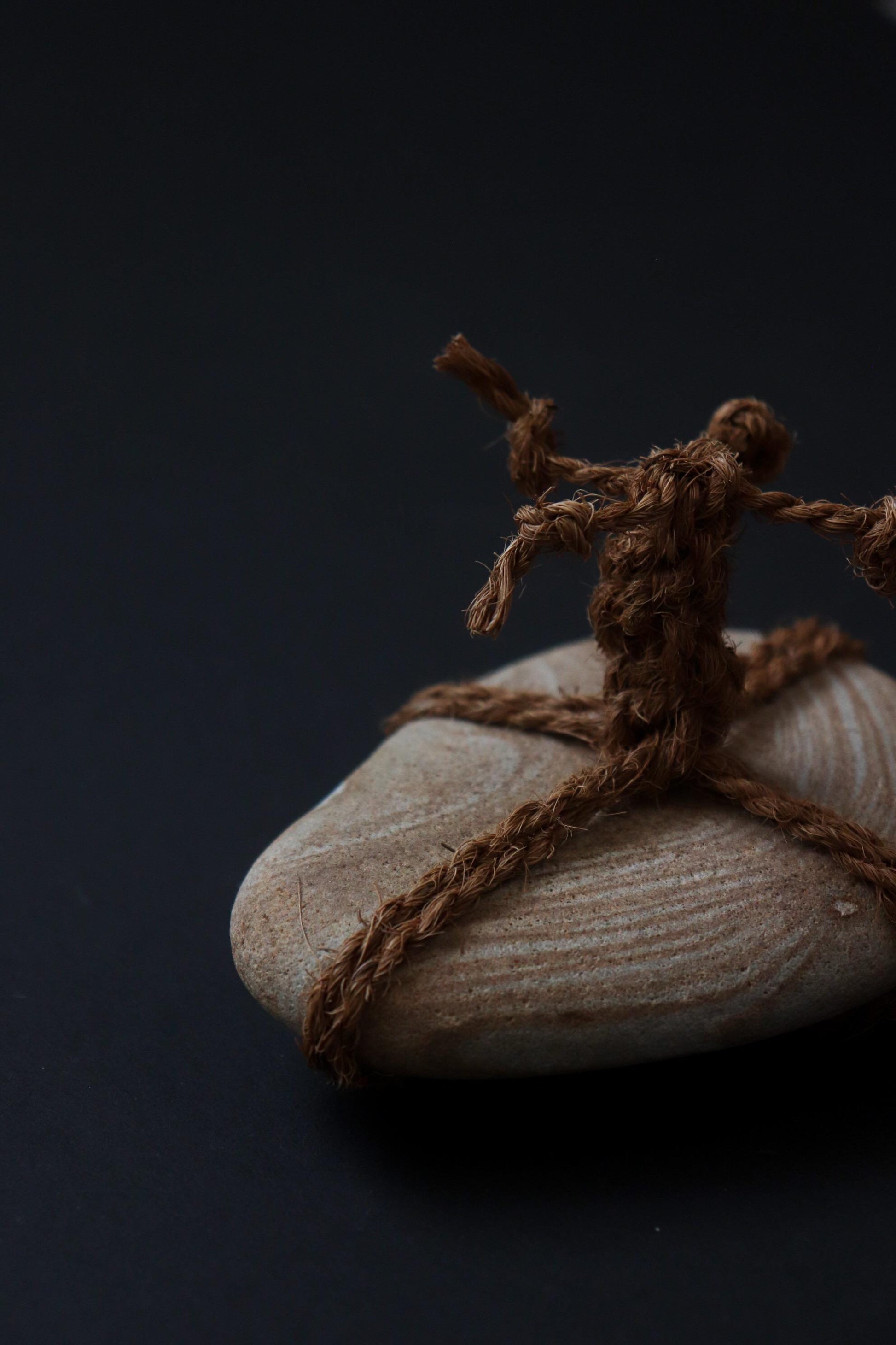 One of a Kind Sekimori Ishi – Natural Striped Stone from Niigata with Shuro Rope | Japanese Guardian Stone | Wabi-Sabi Zen Decor