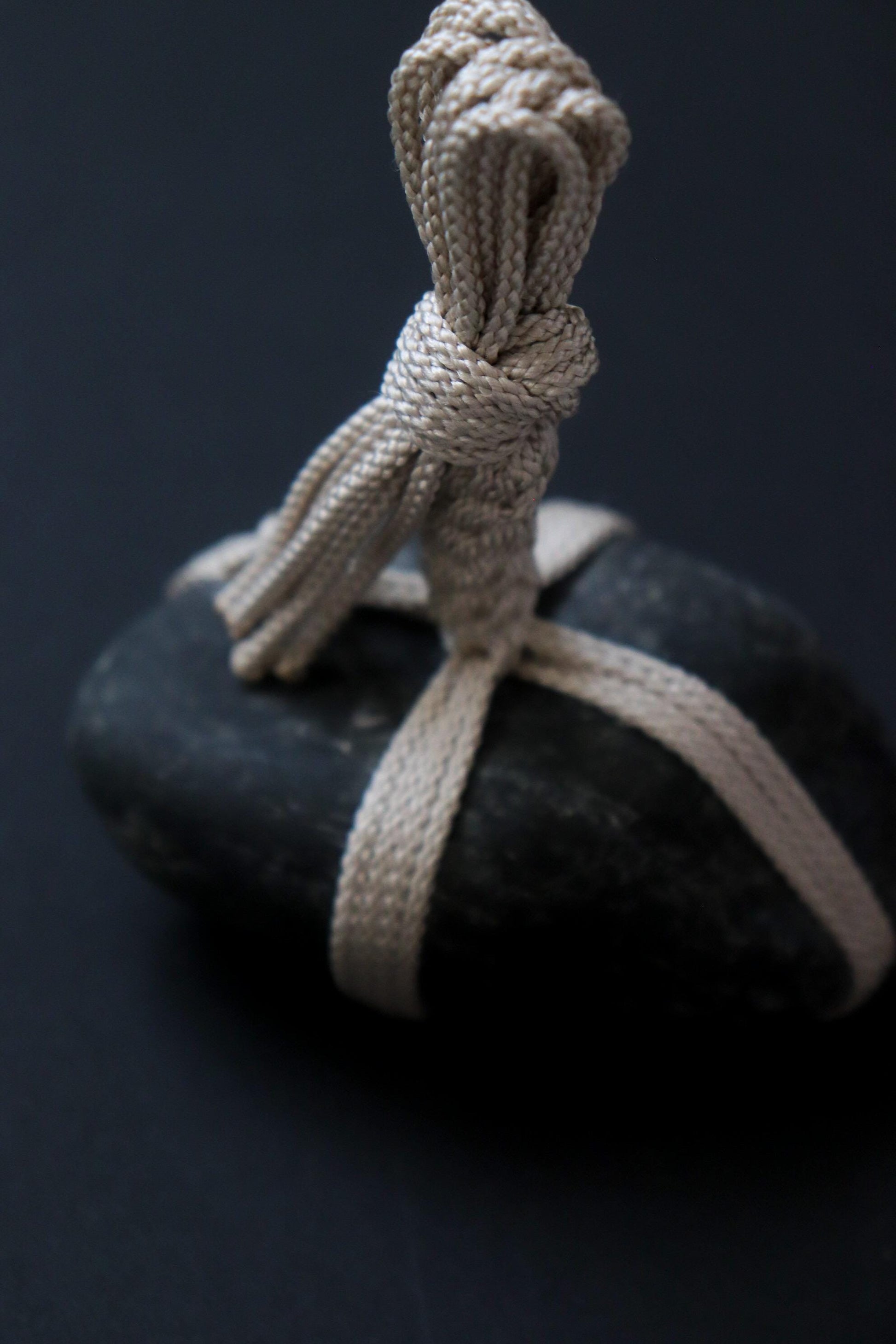 One of a Kind Sekimori Ishi – Nachiguro Stone with Traditional Edo-Uchi Kumihimo Cord | Japanese Guardian Stone | Zen Decor