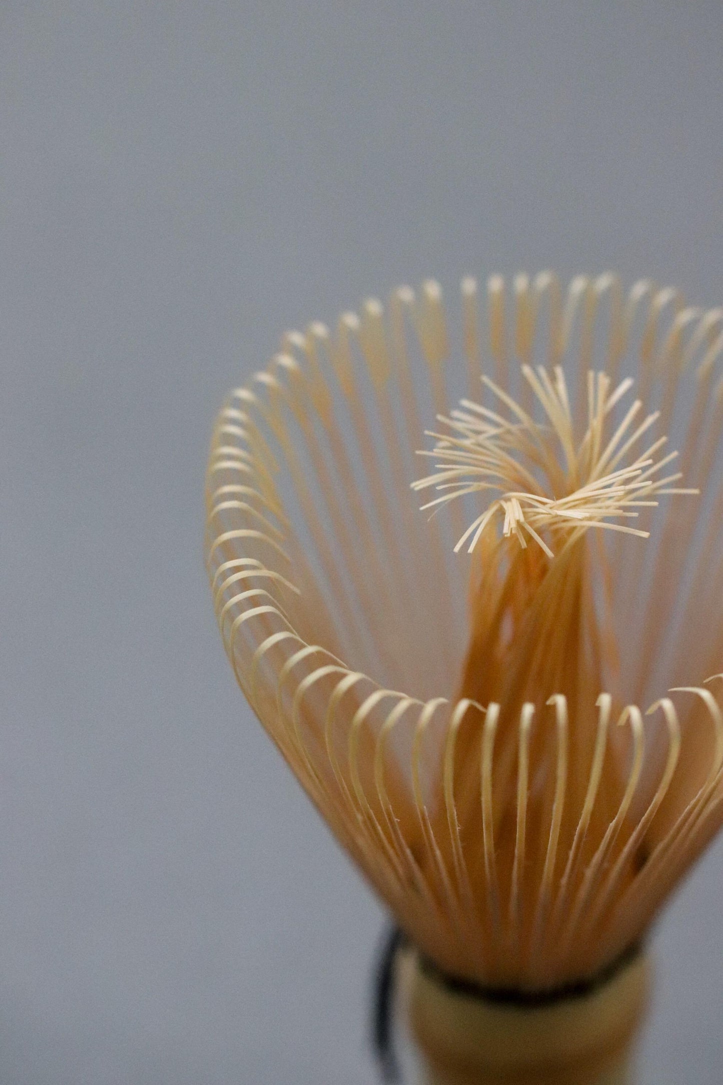 Takayama Chasen “Tsuneho” | Authentic Japanese Bamboo Matcha Whisk from Nara, Japan | Usucha Whisk Made in JAPAN