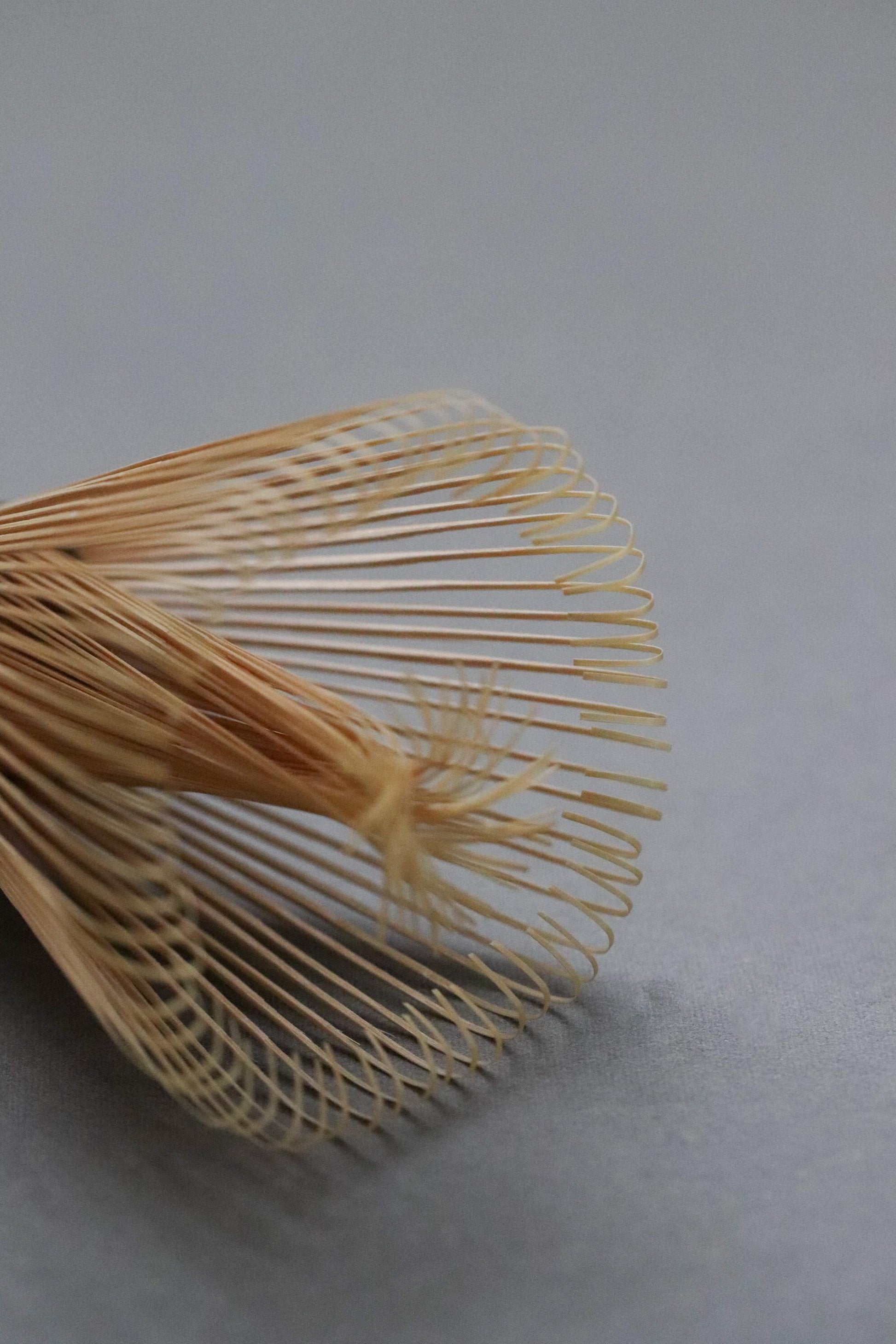Takayama Chasen “Tsuneho” | Authentic Japanese Bamboo Matcha Whisk from Nara, Japan | Usucha Whisk Made in JAPAN
