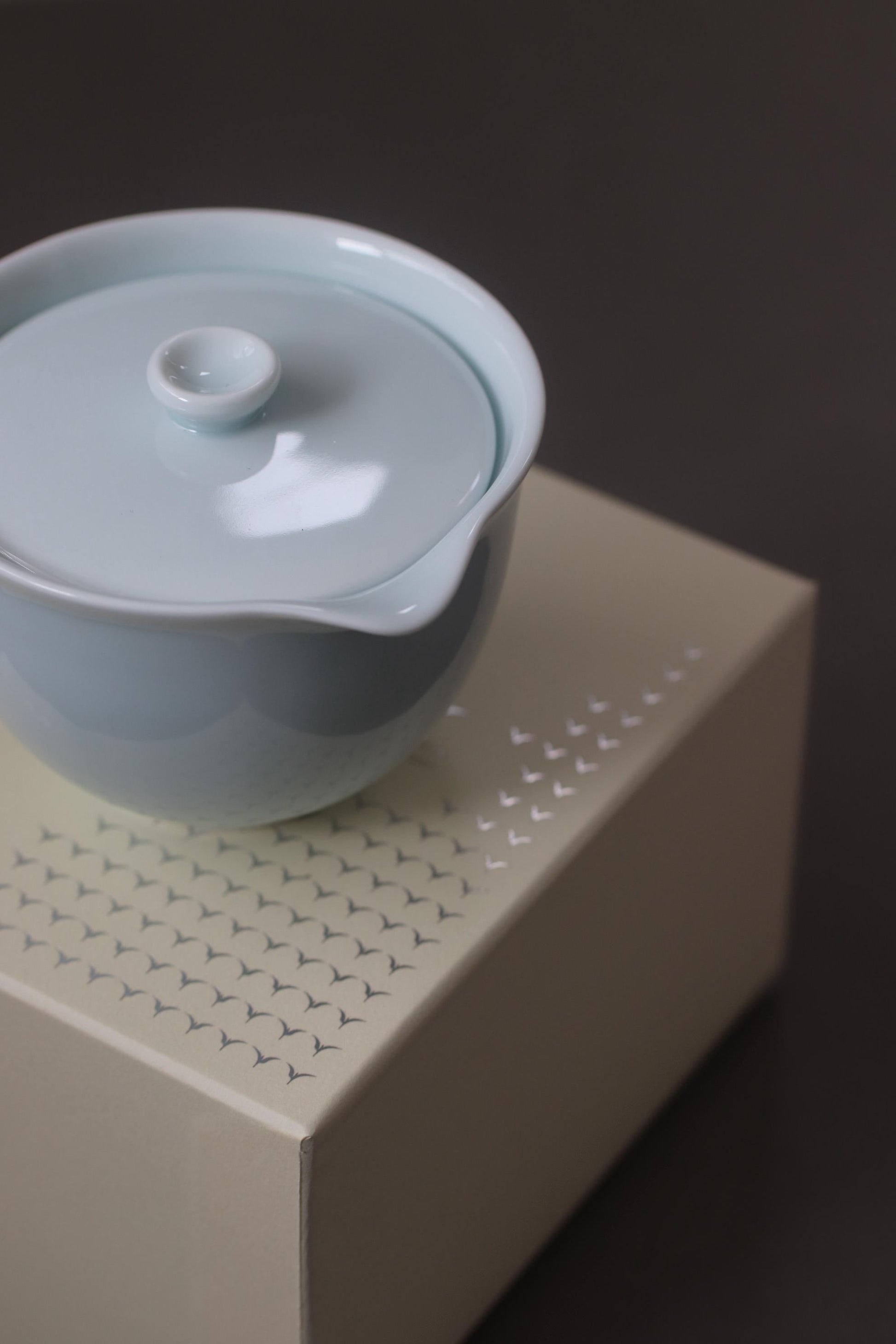 Japanese Seihaku Porcelain Houhin Teapot with Gift Box, Minimalist Blue-White Tea Pot, 160cc Mino Ware Kyusu, Made in Japan