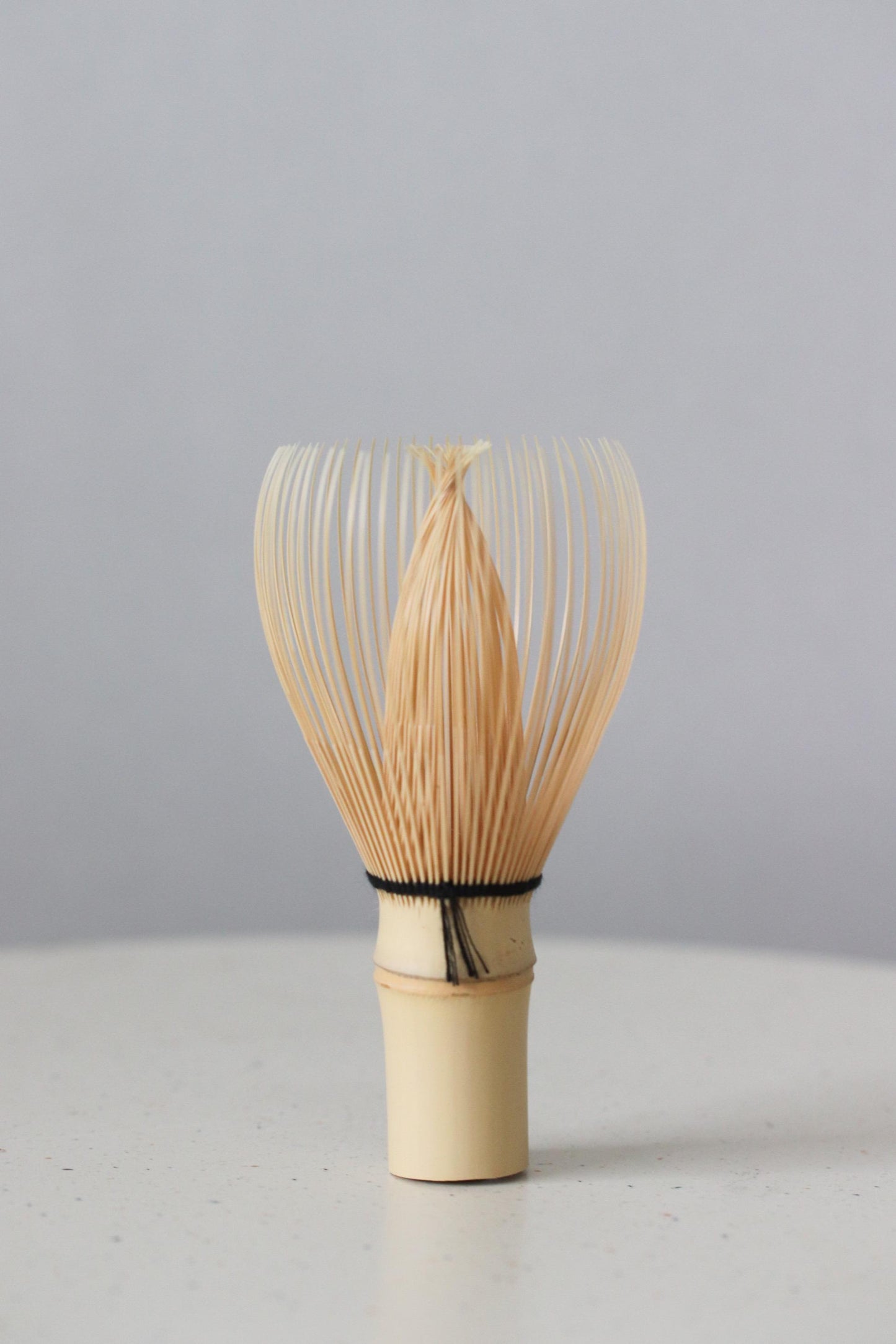 Authentic Japanese Chasen Matcha Whisk, Shin (True) Style 70-Prong White Bamboo, Nara Takayama Tea Ceremony Tool, Made in Japan Gift Box