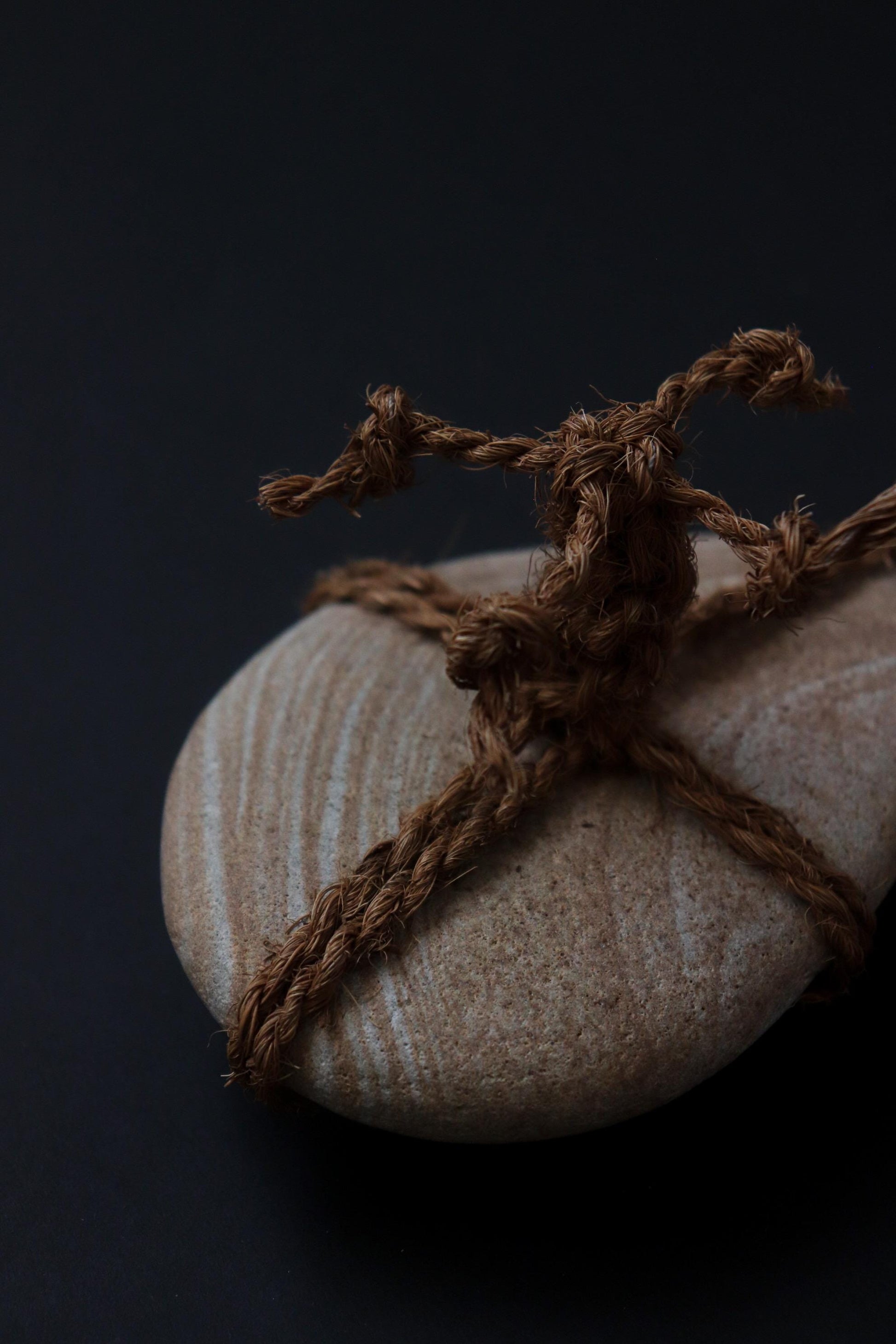 One of a Kind Sekimori Ishi – Natural Striped Stone from Niigata with Shuro Rope | Japanese Guardian Stone | Wabi-Sabi Zen Decor