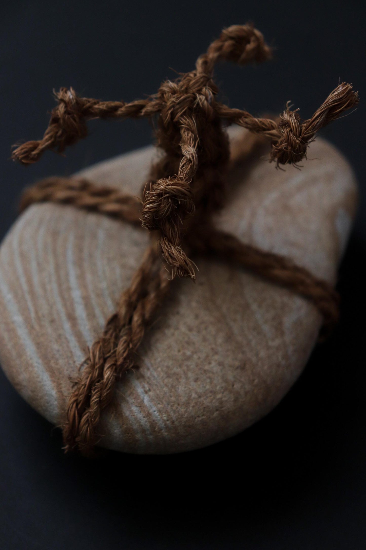 One of a Kind Sekimori Ishi – Natural Striped Stone from Niigata with Shuro Rope | Japanese Guardian Stone | Wabi-Sabi Zen Decor
