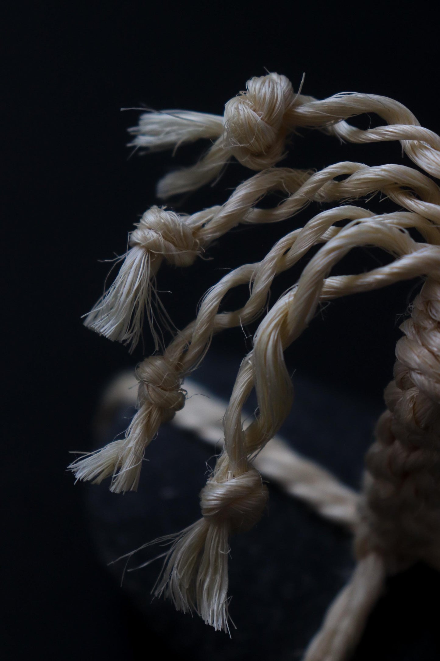 One of a Kind Sekimori Ishi – Nachiguro Stone with Sisal Rope | Japanese Guardian Stone | Wabi-Sabi Zen Decor