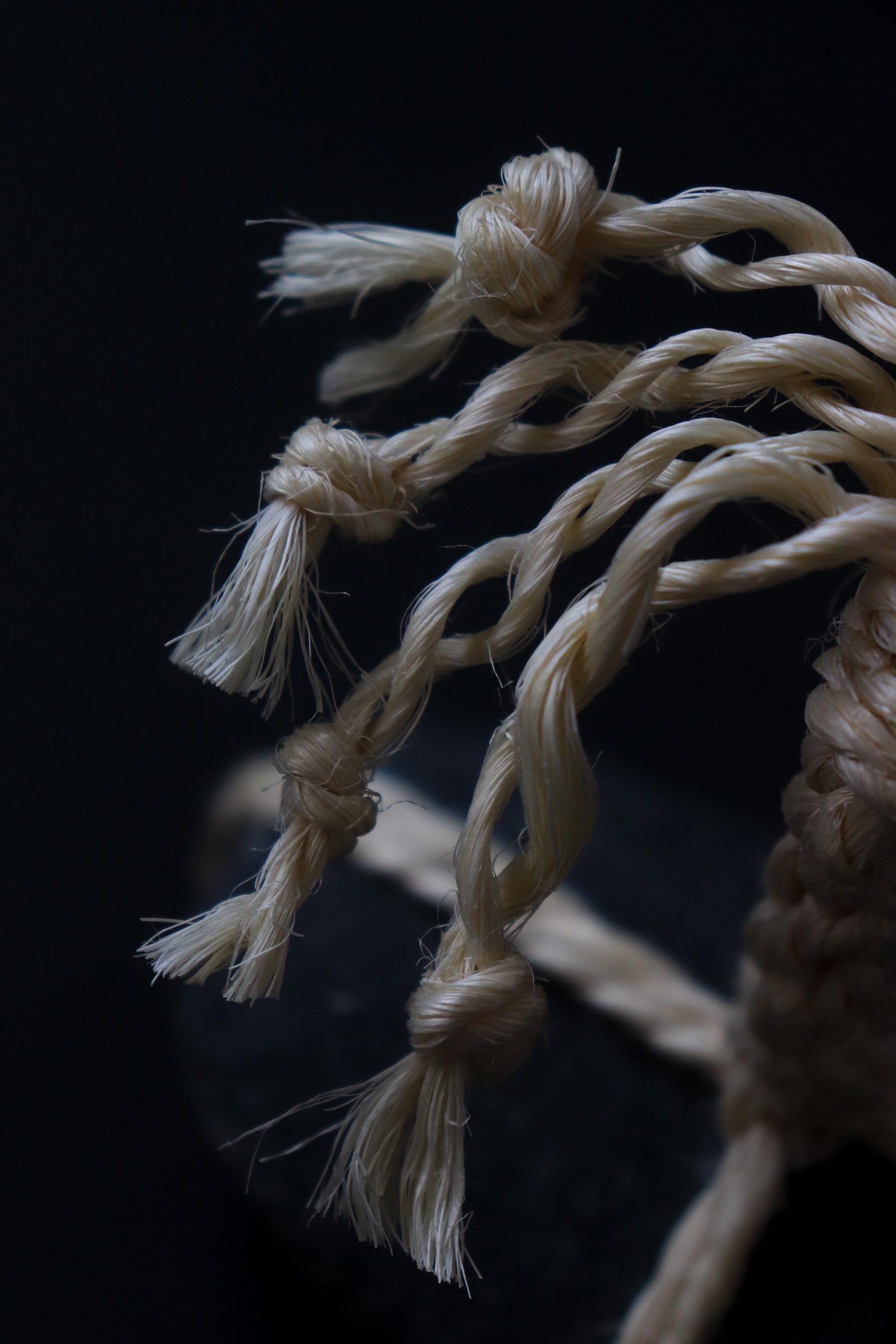 One of a Kind Sekimori Ishi – Nachiguro Stone with Sisal Rope | Japanese Guardian Stone | Wabi-Sabi Zen Decor
