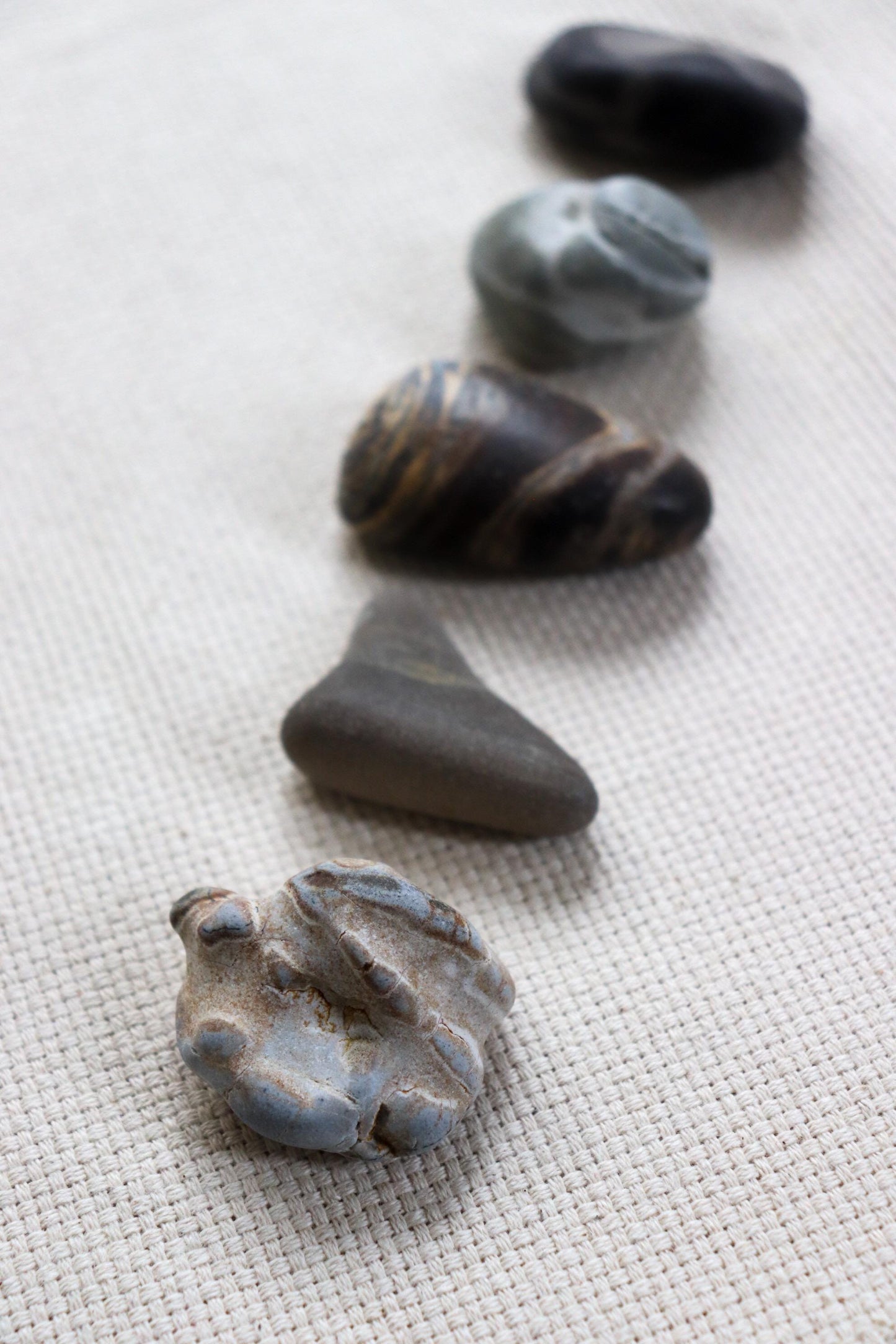 Silent Fragments — Edition 02: Brown (Daichi) | Art of Time Tsugaru Stones & Ancient Manuscripts | Set of 5 Hand-Selected Japanese Stones