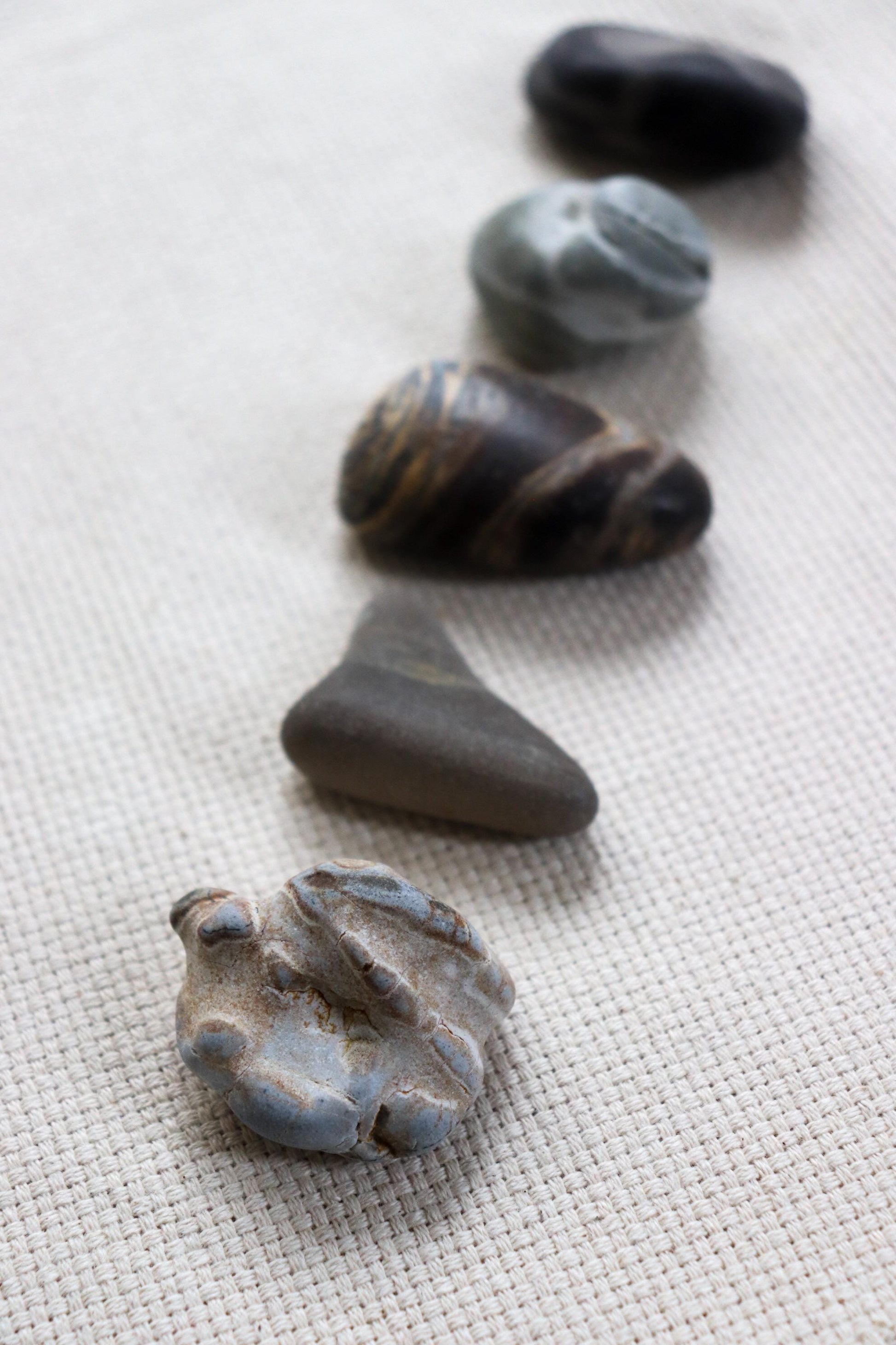 Silent Fragments — Edition 02: Brown (Daichi) | Art of Time Tsugaru Stones & Ancient Manuscripts | Set of 5 Hand-Selected Japanese Stones