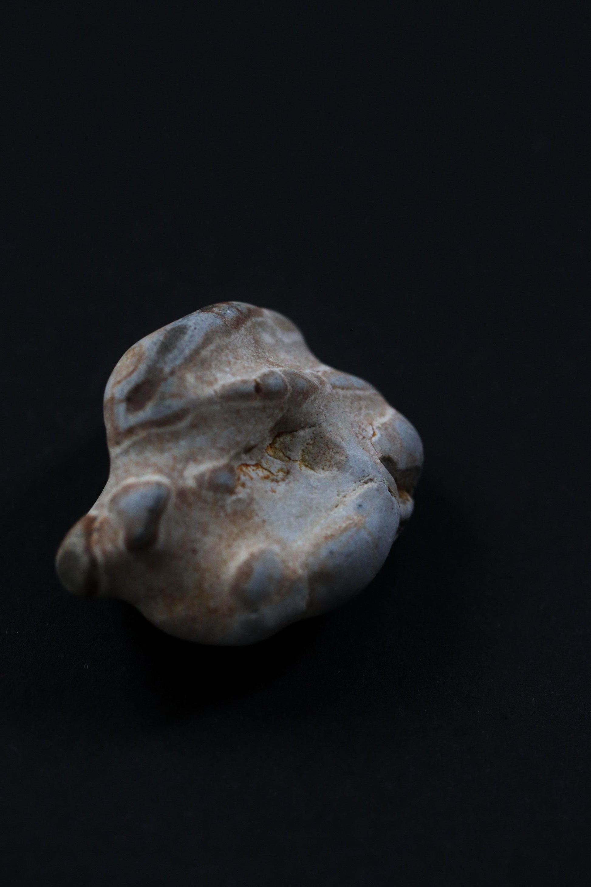 Silent Fragments — Edition 02: Brown (Daichi) | Art of Time Tsugaru Stones & Ancient Manuscripts | Set of 5 Hand-Selected Japanese Stones