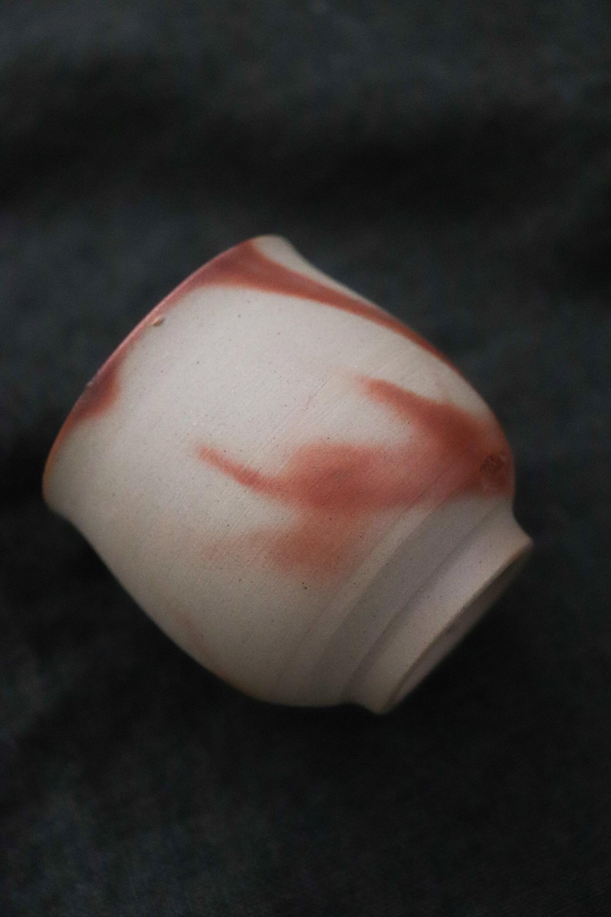 Bizen Ware Sake Set by Yasuyuki Takeuchi Tokkuri and Guinomi Handmade Japanese Pottery Artisan Ceramic Wabi Sabi