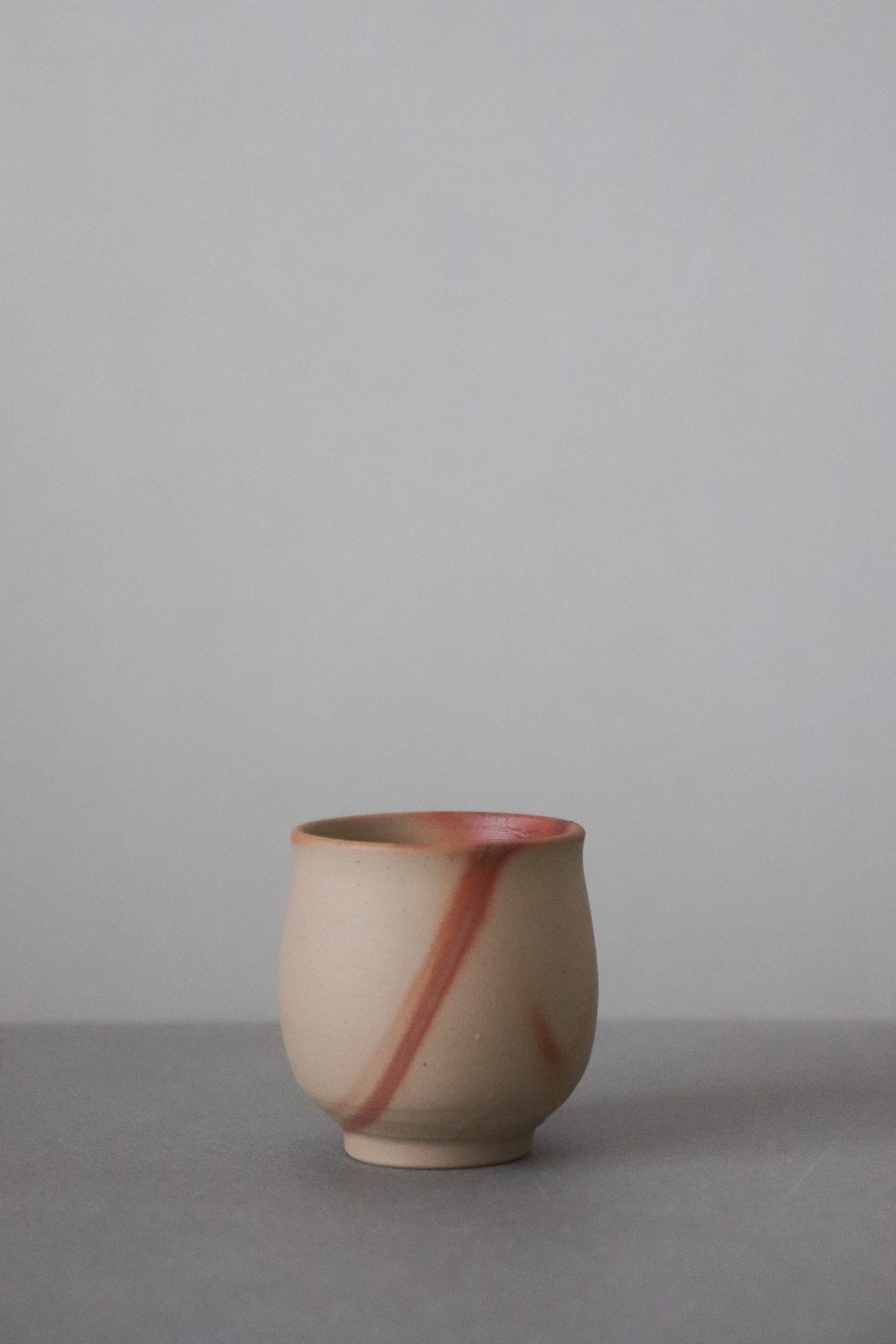 Bizen Ware Sake Set by Yasuyuki Takeuchi Tokkuri and Guinomi Handmade Japanese Pottery Artisan Ceramic Wabi Sabi