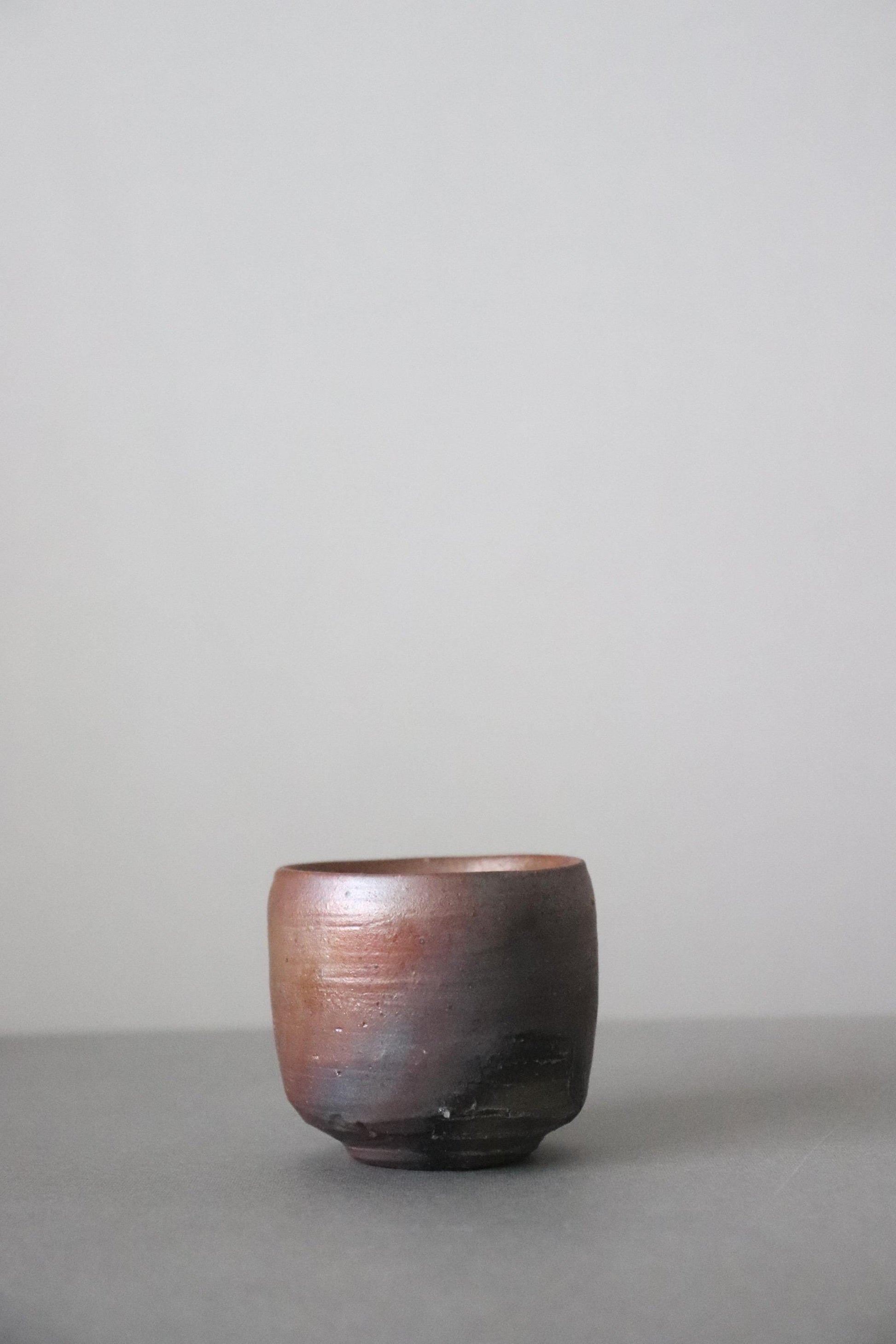 Bizen Ware Sake Cup by Yasuyuki Takeuchi Handmade Guinomi Japanese Pottery Artisan Ceramic Ochoko Wabi Sabi
