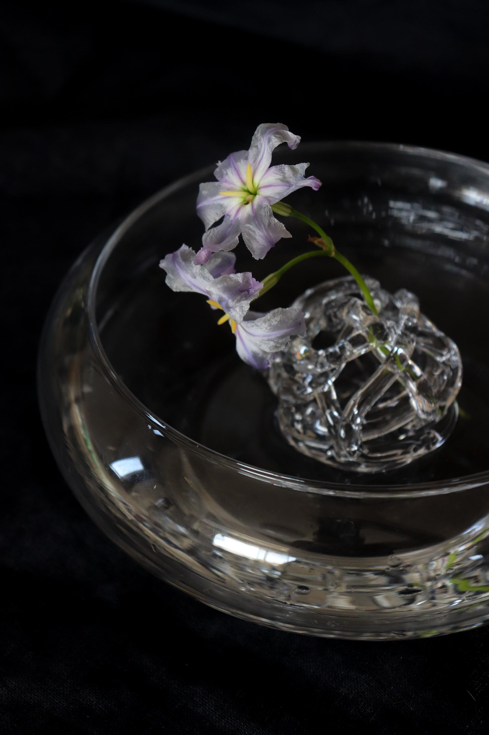 Handmade Glass Flower Holder by Shotaro Migaki / Japanese Bud Vase / Minimal Ikebana Tool / One-of-a-kind Glass (6.5–7cm)