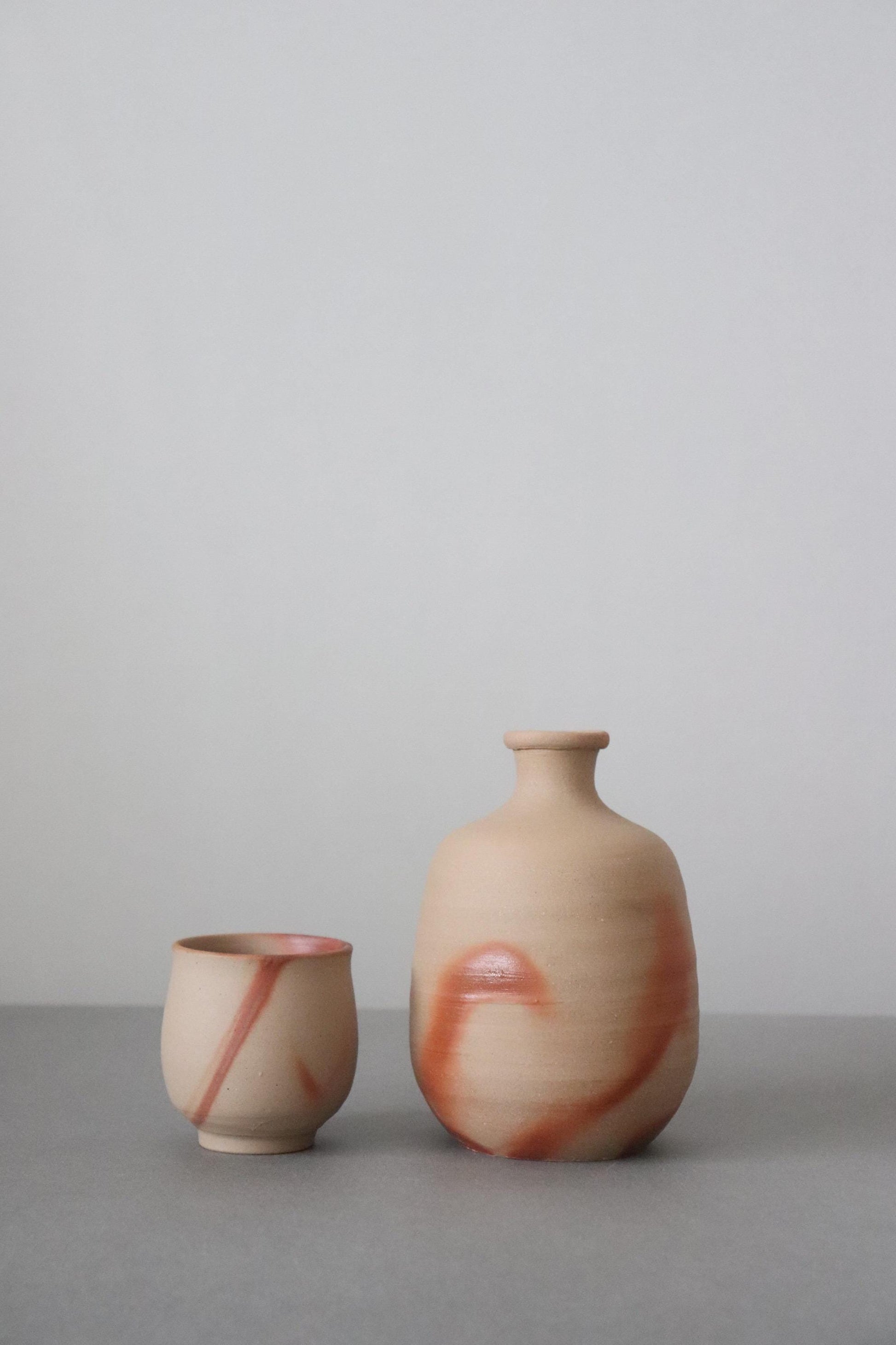 Bizen Ware Sake Set by Yasuyuki Takeuchi Tokkuri and Guinomi Handmade Japanese Pottery Artisan Ceramic Wabi Sabi