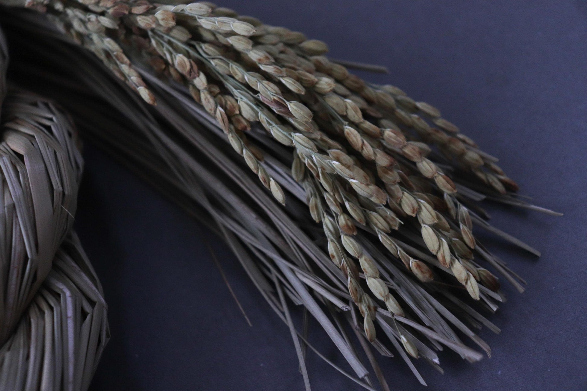Japanese Shimenawa Wreath with Rice Stalks, Igusa Rope Decor, Sacred Japanese Decoration, Wabi Sabi Wall Art, Minimal Natural Fiber Wreath