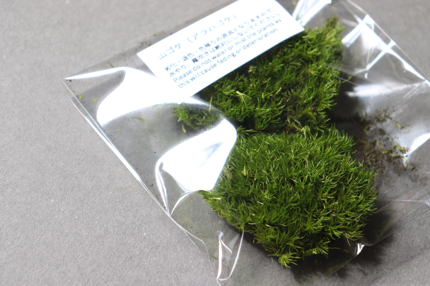 Japanese Zen Garden Kit, Mini Karesansui Set with Moss and Lantern, Desk Zen Garden, Meditation Decor, DIY Japanese Garden