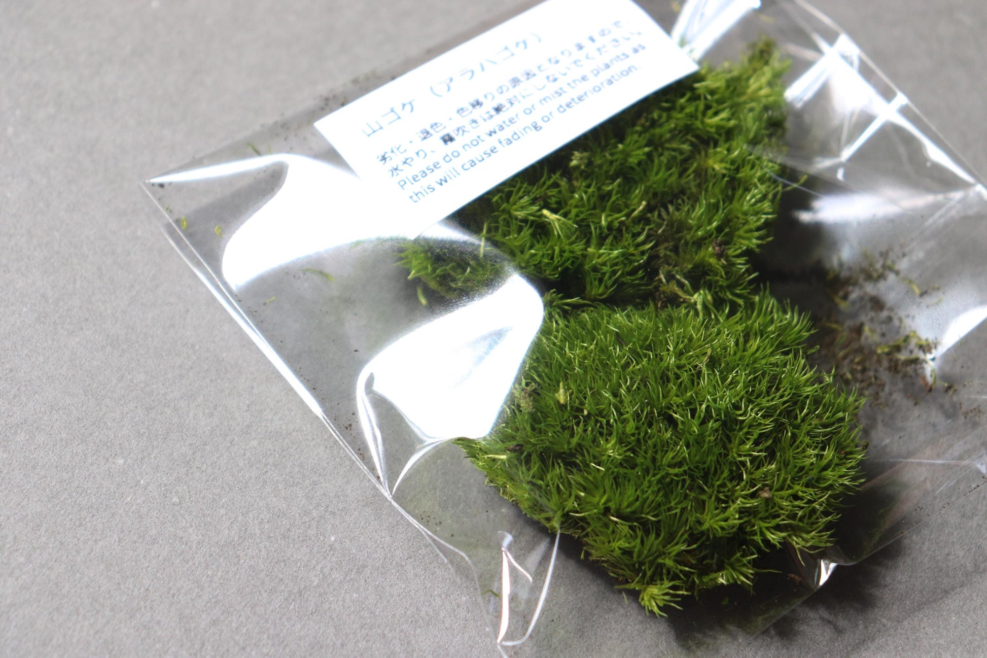 Japanese Zen Garden Kit, Mini Karesansui Set with Moss and Lantern, Desk Zen Garden, Meditation Decor, DIY Japanese Garden