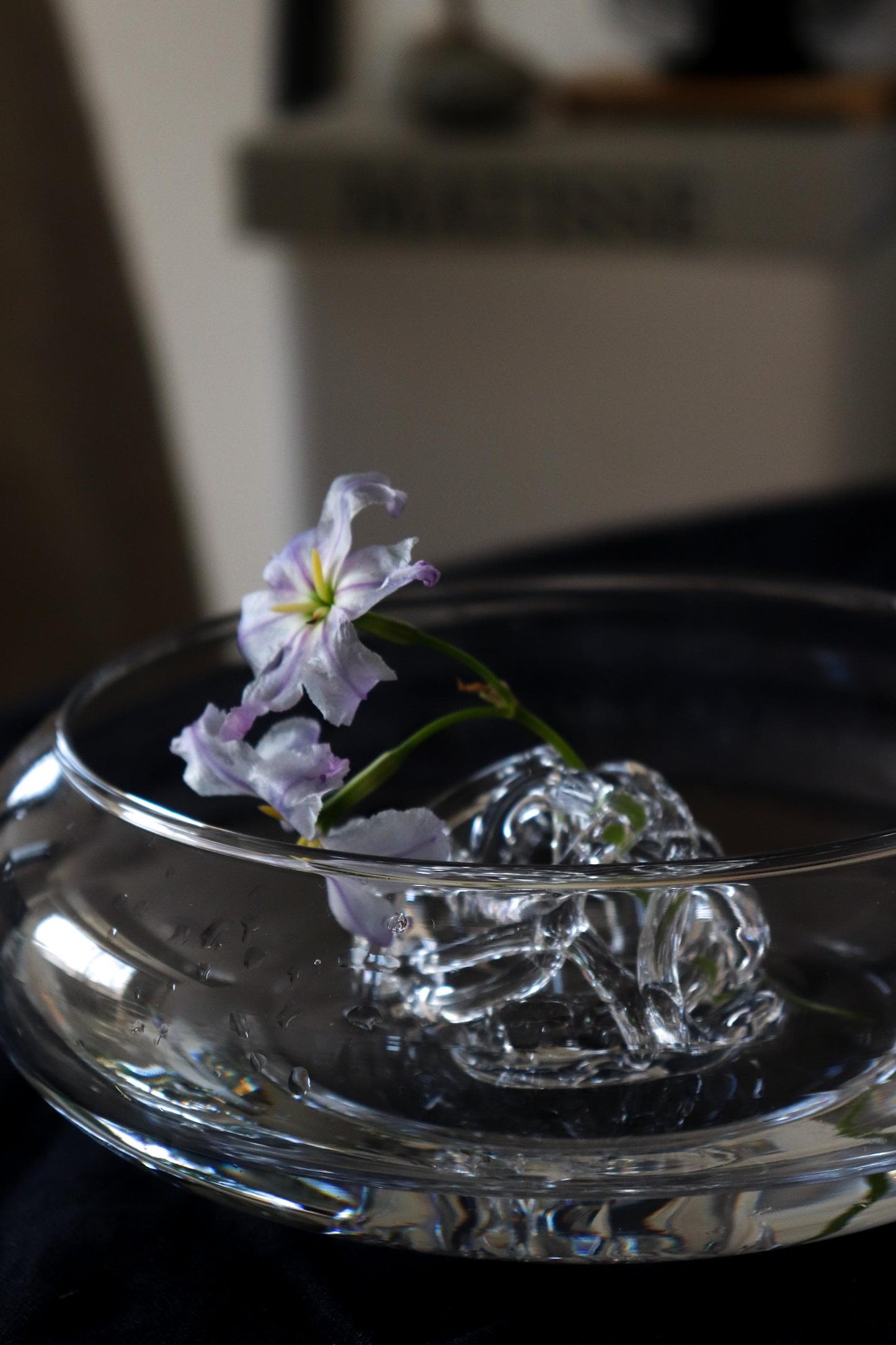 Handmade Glass Flower Holder by Shotaro Migaki / Japanese Bud Vase / Minimal Ikebana Tool / One-of-a-kind Glass (6.5–7cm)