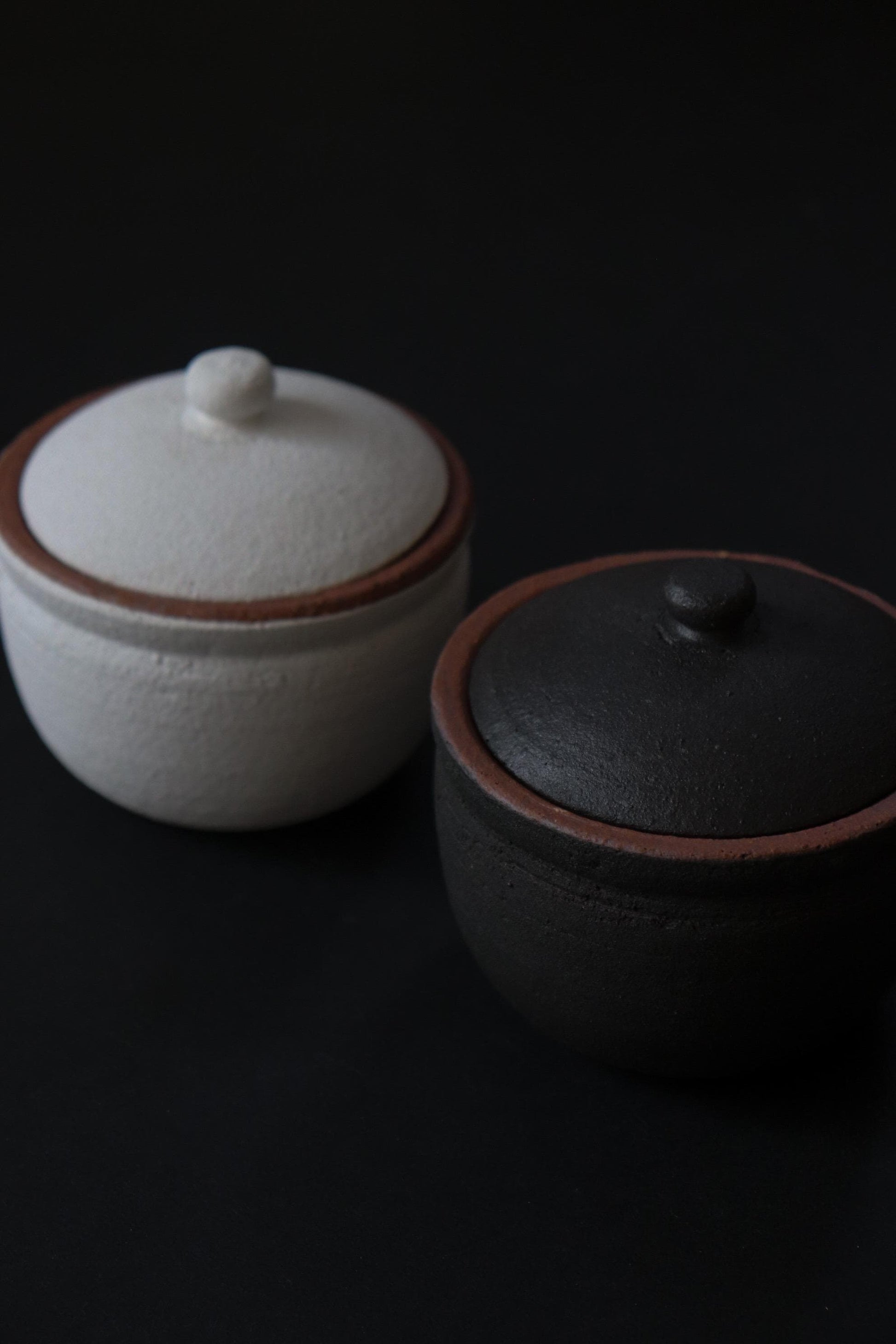 Japanese Shigaraki Salt Jar with Lid – Breathable Ceramic Salt Cellar for Moisture Control – Handmade Pottery Kitchen Storage