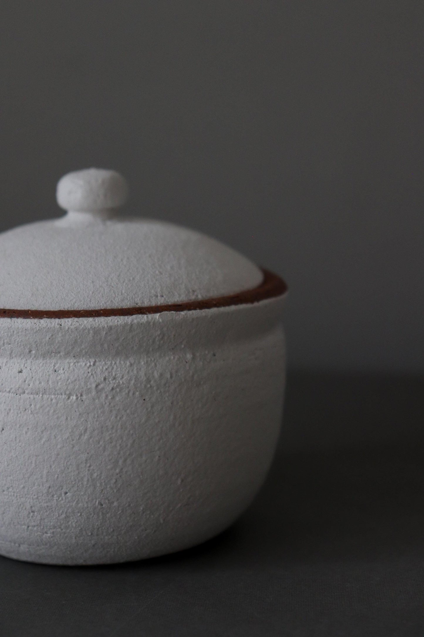 Japanese Shigaraki Salt Jar with Lid – Breathable Ceramic Salt Cellar for Moisture Control – Handmade Pottery Kitchen Storage