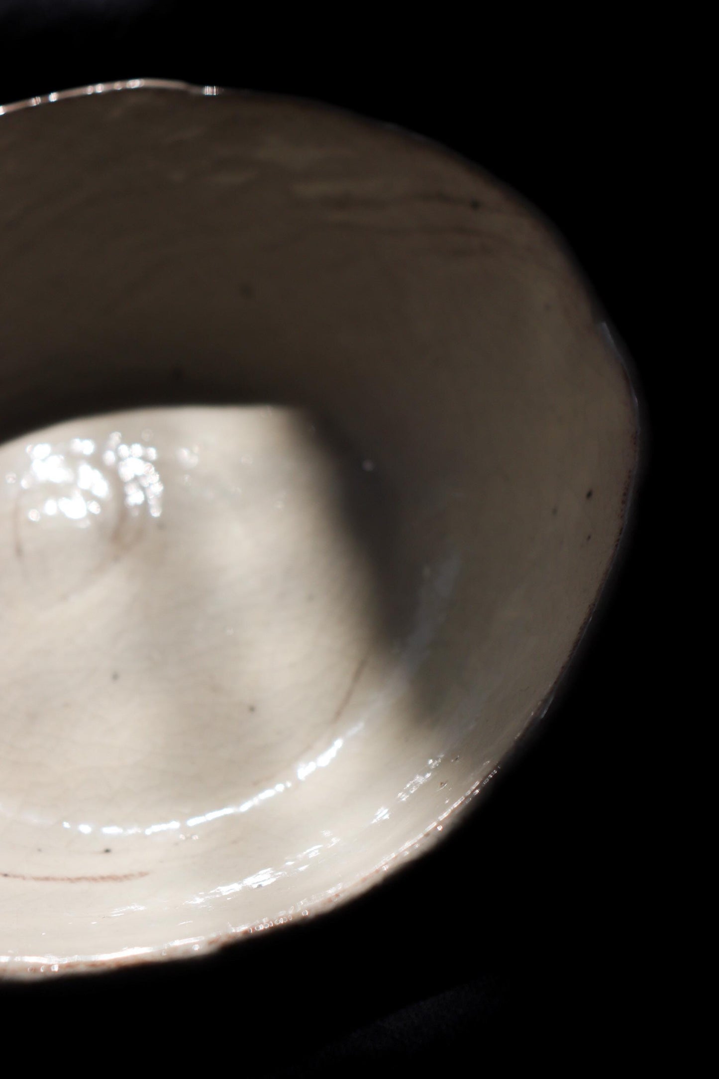 Japanese Kohiki Ceramic Bowl | Handmade Crackle Glaze Pottery Bowl | One of a Kind Artisan Serving Bowl | Made in Japan