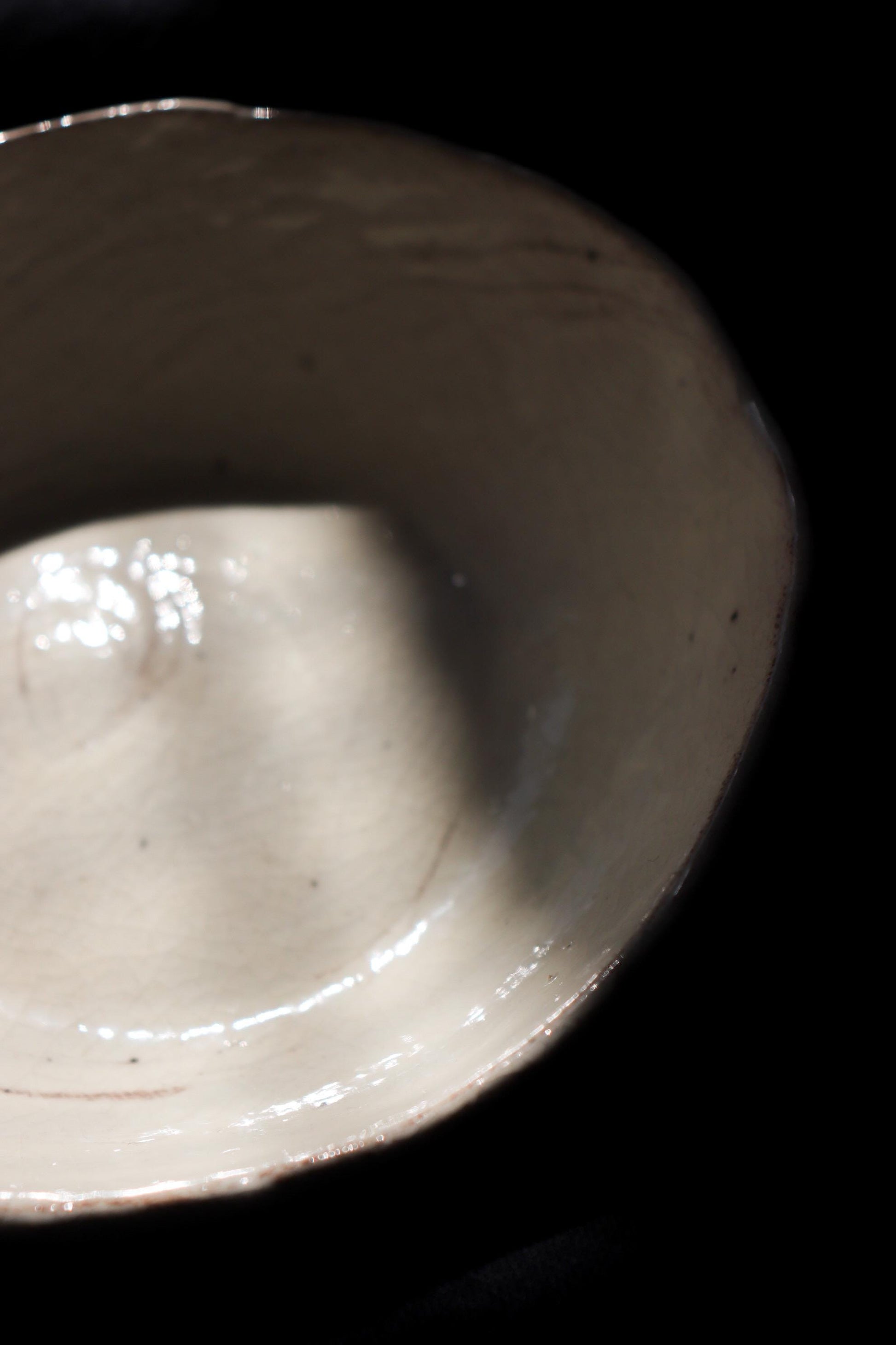 Japanese Kohiki Ceramic Bowl | Handmade Crackle Glaze Pottery Bowl | One of a Kind Artisan Serving Bowl | Made in Japan