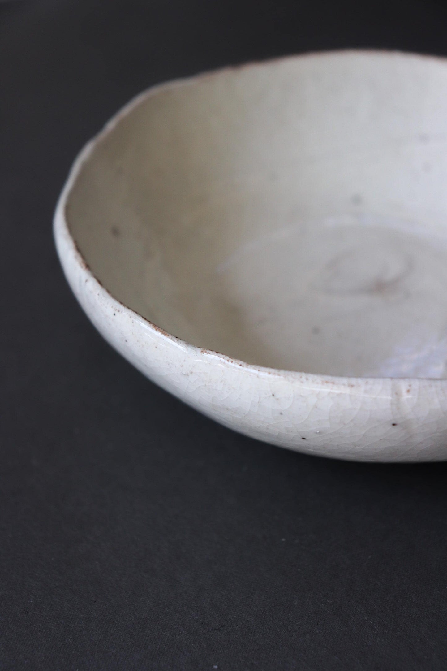 Japanese Kohiki Ceramic Bowl | Handmade Crackle Glaze Pottery Bowl | One of a Kind Artisan Serving Bowl | Made in Japan