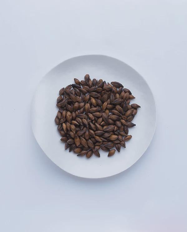 Ippodo Japanese Barley Tea | Mugicha Roasted Six-Row Barley Tea | Caffeine-Free Japanese Summer Tea | 400g Bag Japan