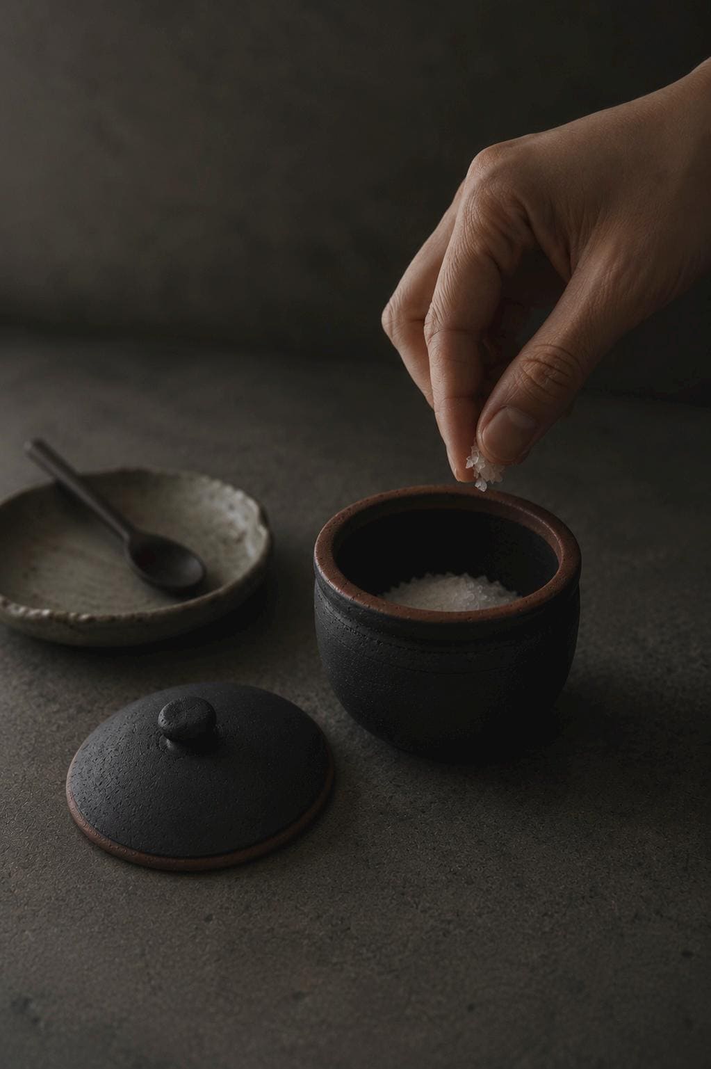 Japanese Shigaraki Salt Jar with Lid – Breathable Ceramic Salt Cellar for Moisture Control – Handmade Pottery Kitchen Storage