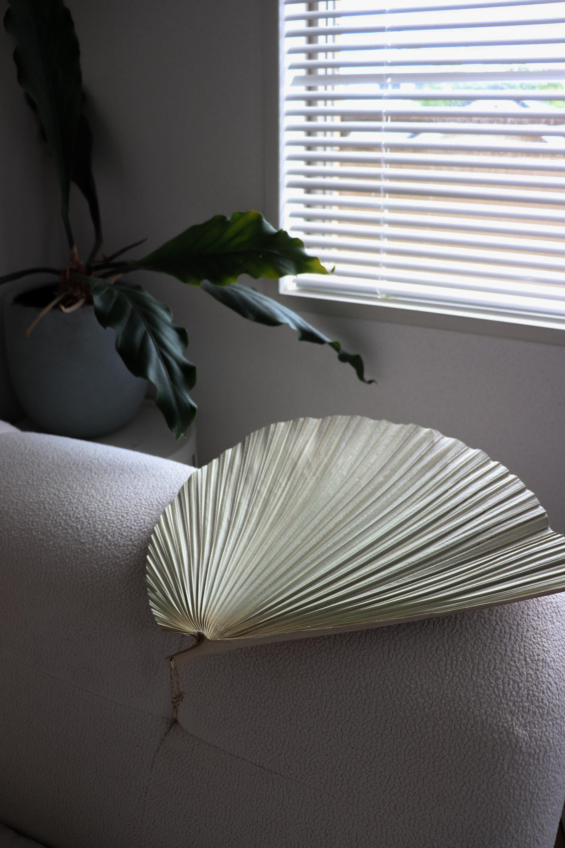 Japanese Kuba Palm Leaf Fan Wall Decor, Handmade Okinawan Folk Craft from Yonaguni Island, Natural Sculptural Object, Japandi Decor with box