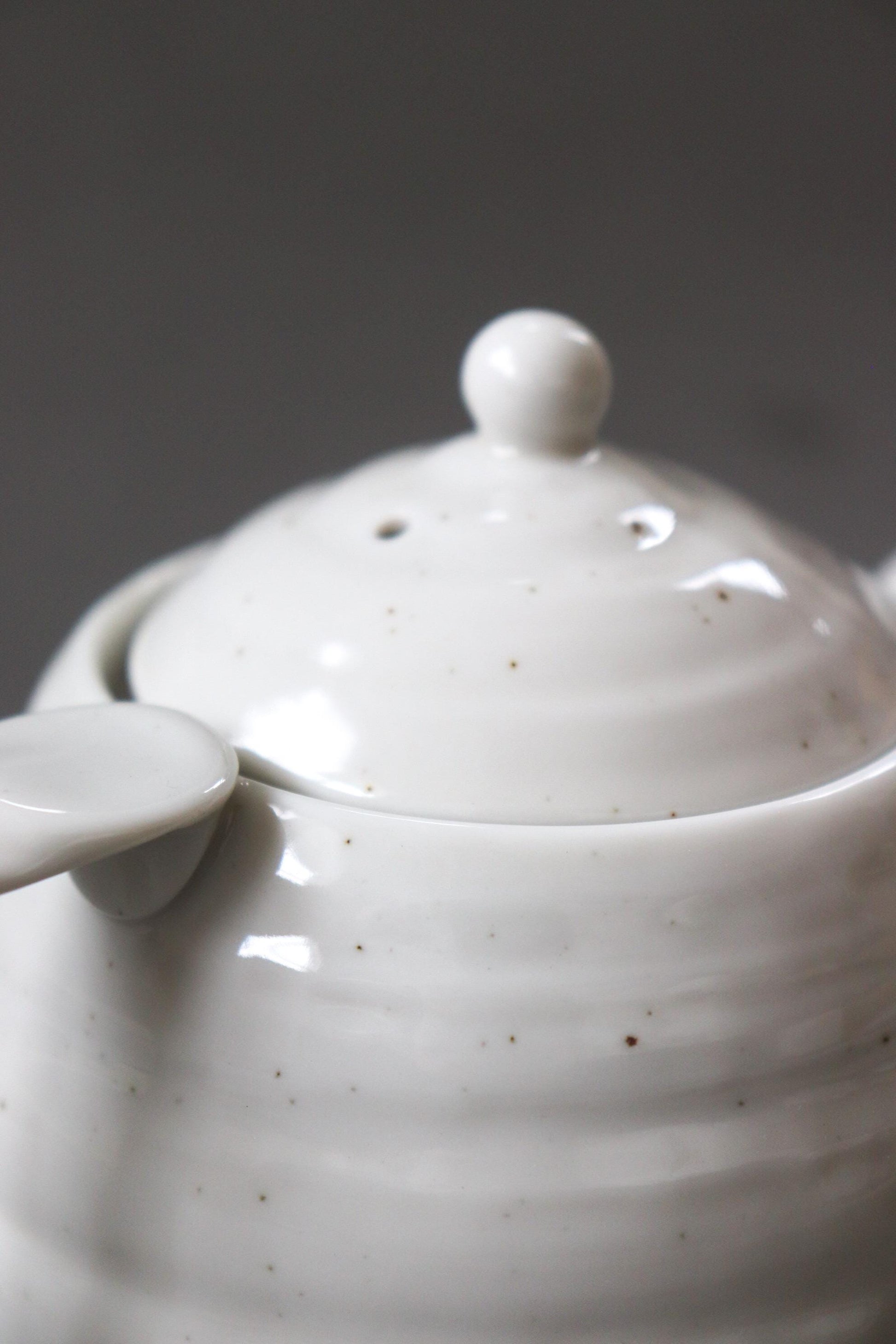 Japanese White Ceramic Teapot with Strainer 500ml – Mino Ware Round Kyusu Tea Pot, Speckled White Pottery, Made in Japan