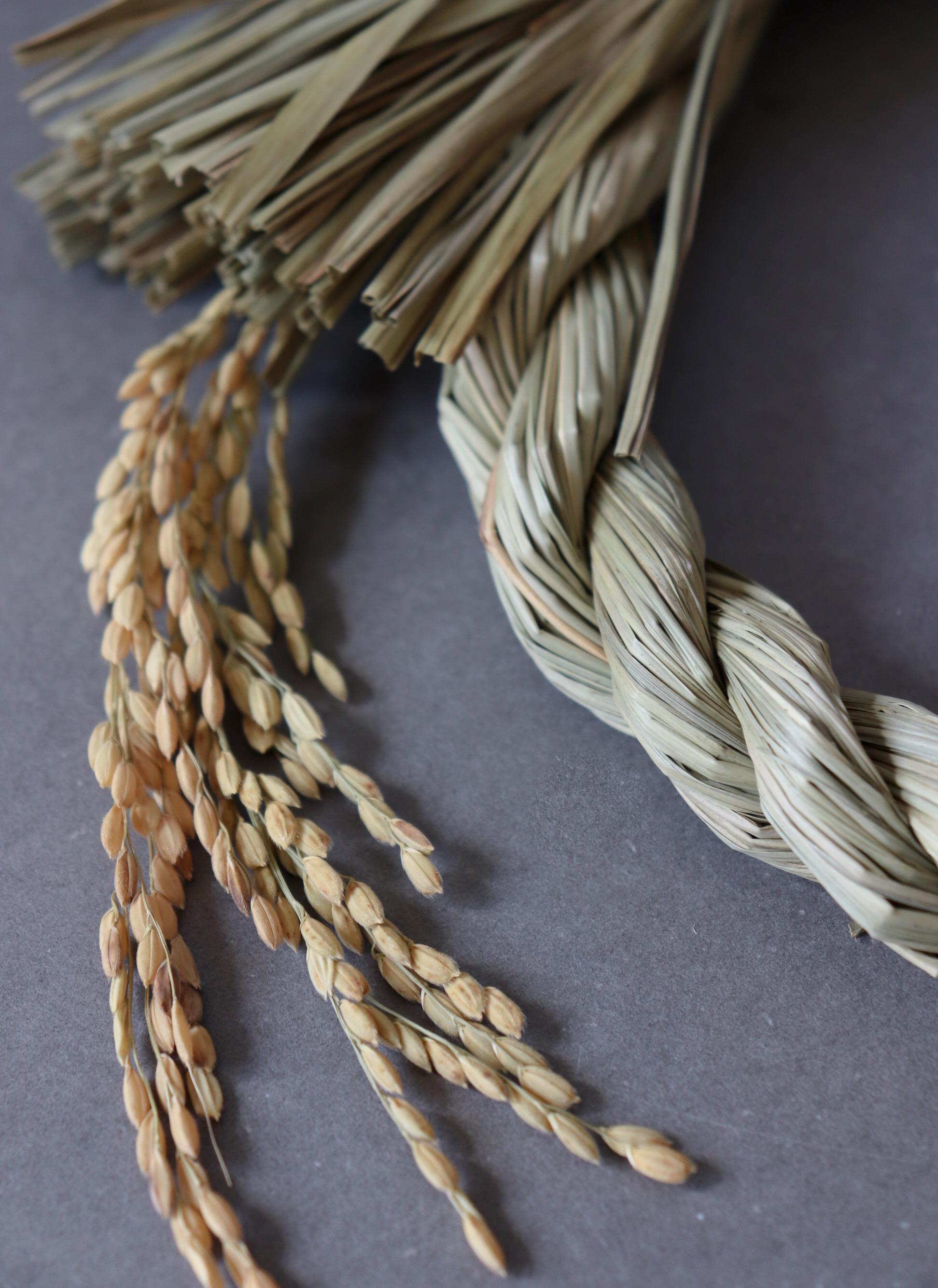 Japanese Igusa Shimenawa Wreath 20cm | Natural Sacred Rice Straw Door Decor | Minimal Japanese Wall Hanging
