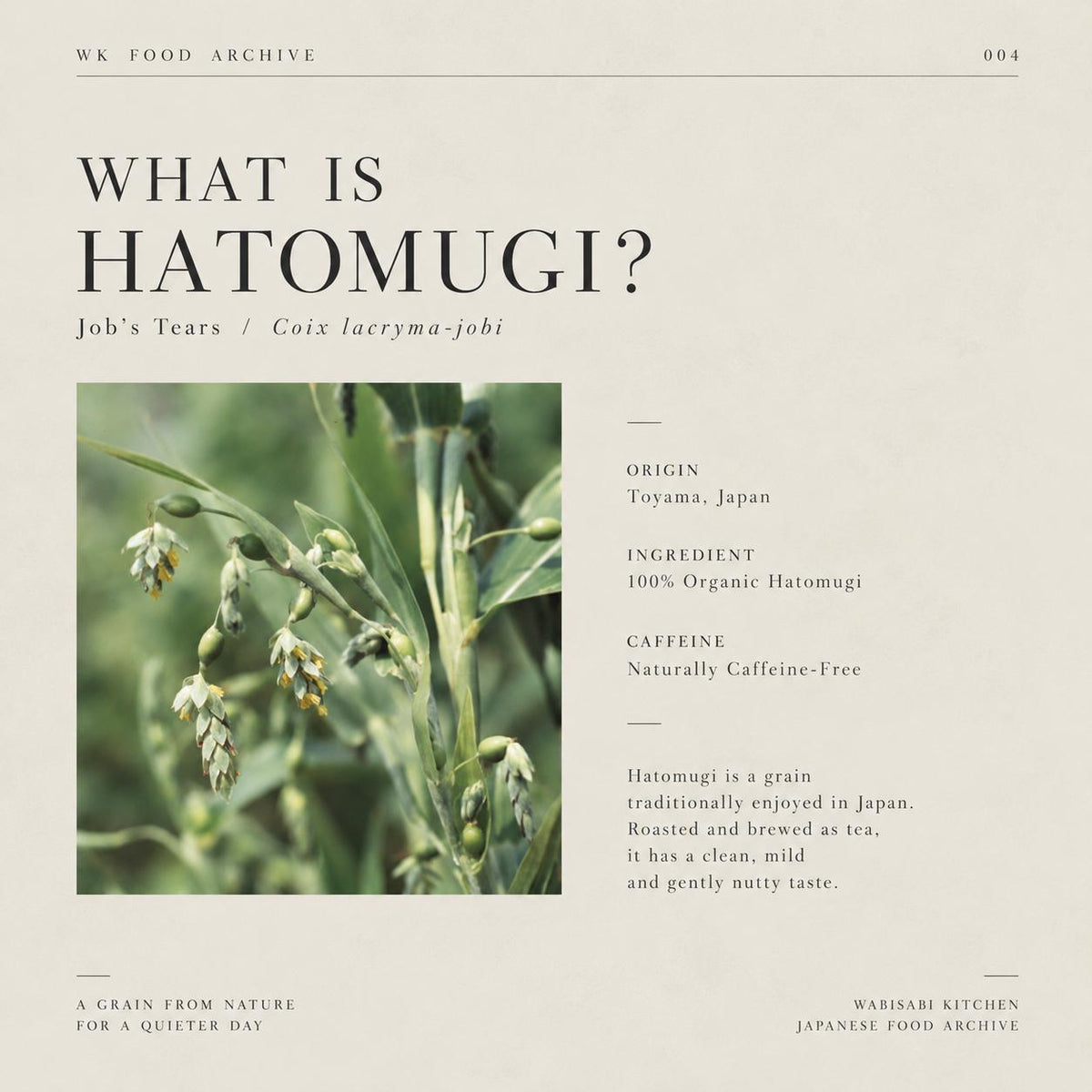 Organic Hatomugi Tea, Japanese Job's Tears Tea, Caffeine Free Herbal Grain Tea, 20 Tea Bags, Grown in Toyama Japan