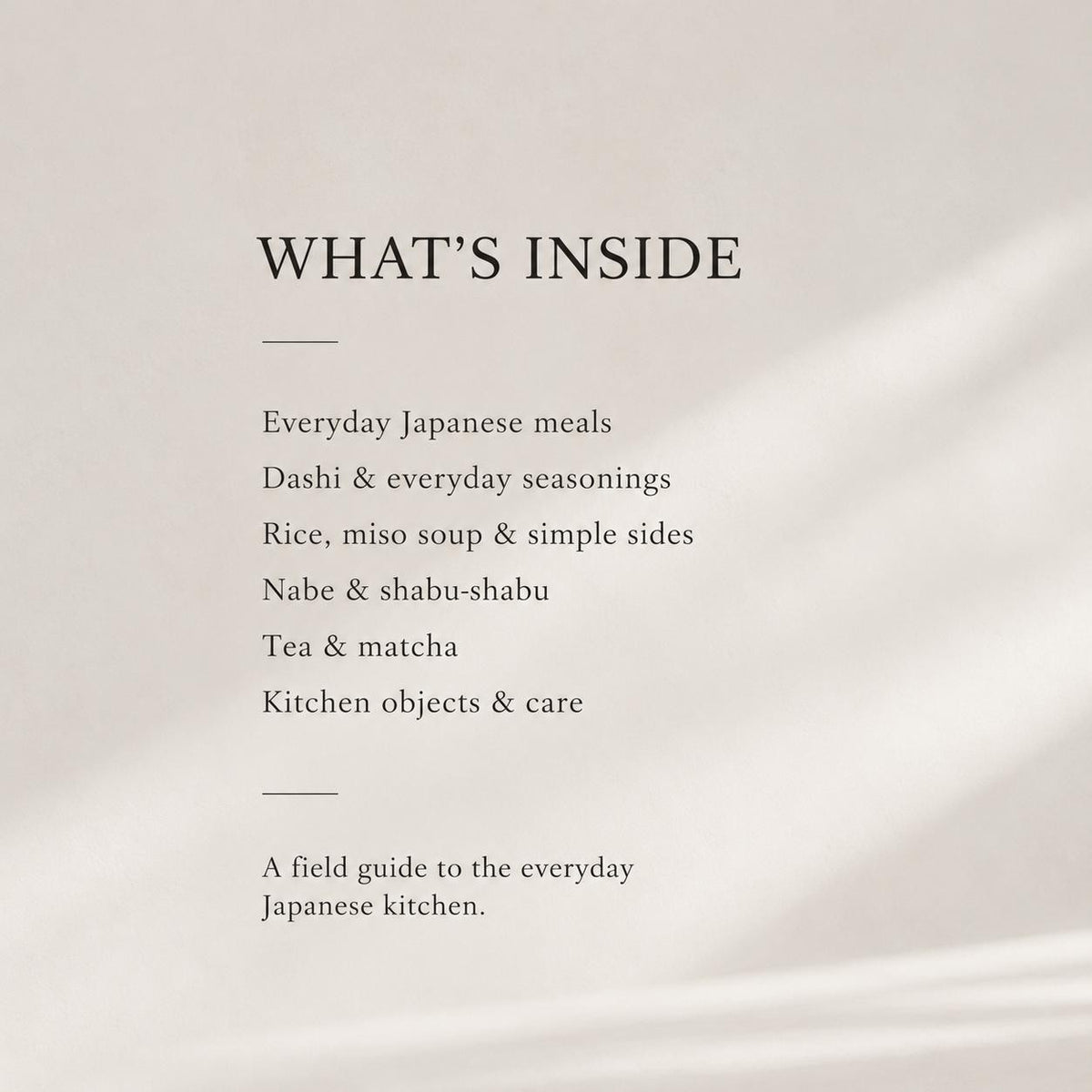 What We Actually Eat | Japanese Home Cooking Guide | Everyday Japanese Food | Digital Cookbook PDF