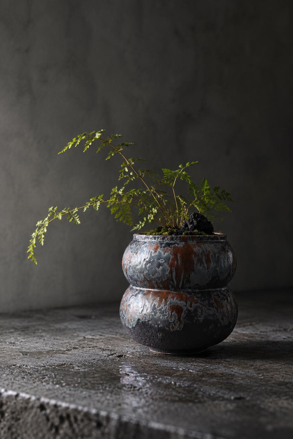 Japanese Ceramic Bonsai Pot, Artist Made Planter, Glazed Pot for Caudex Succulent Plants, One of a Kind Japanese Pottery