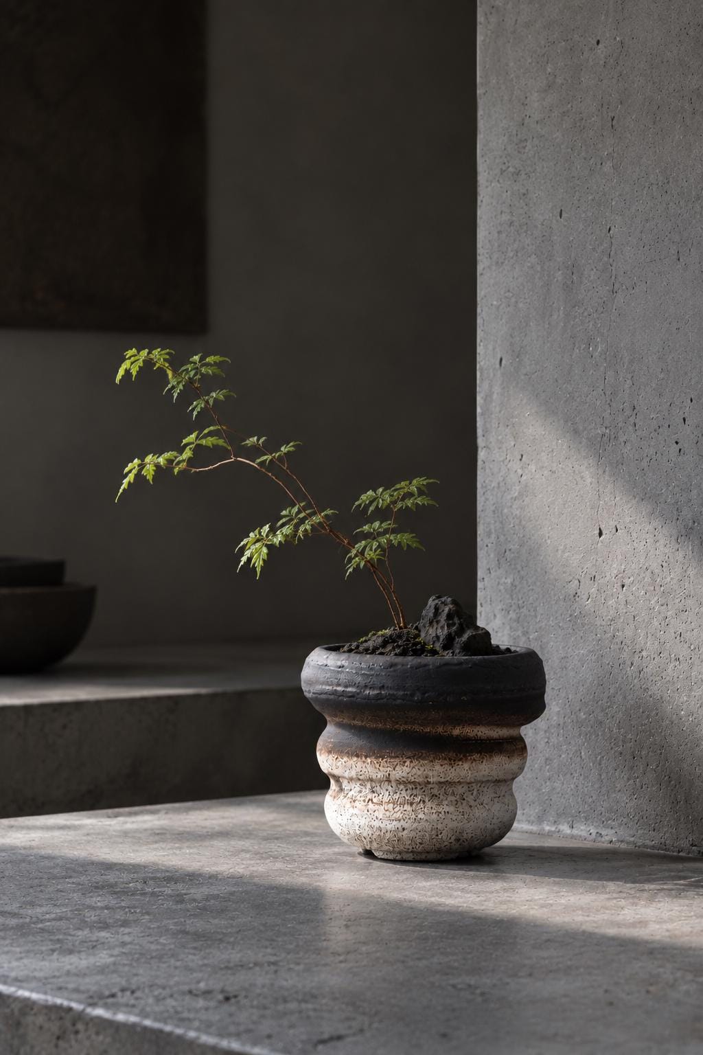 Japanese Ceramic Bonsai Pot, Artist Made Planter, Textured Caudex Pot, Succulent Planter, One of a Kind Japanese Pottery