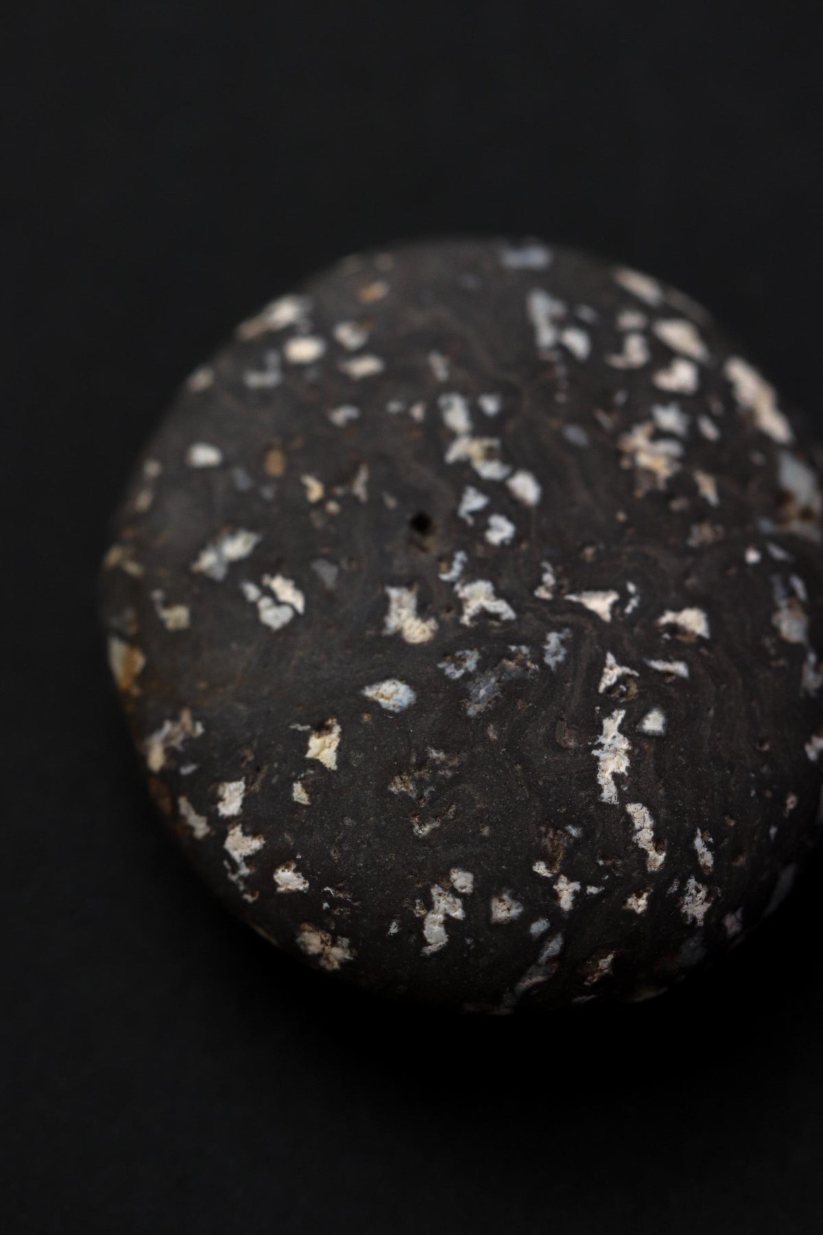 Silent Fragments — AFTER SUMMER (Box III) | Japanese Stone Art & Tsugaru Stones | Set of 5 Hand-Selected Natural Stones