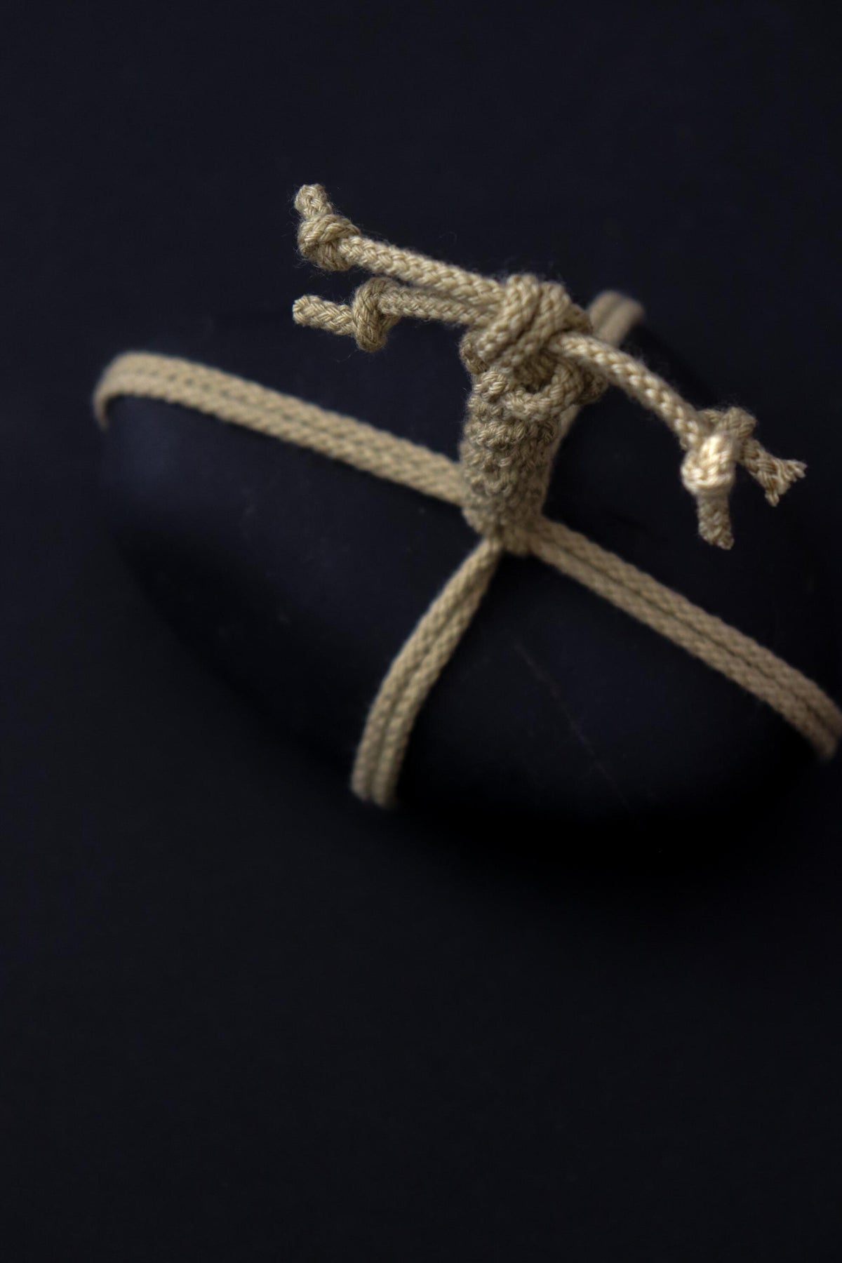 Japanese Sekimori Stone, Nachi Black Stone, Matcha Green Cord, Wabi Sabi Object, Japanese Garden Decor, One of a Kind