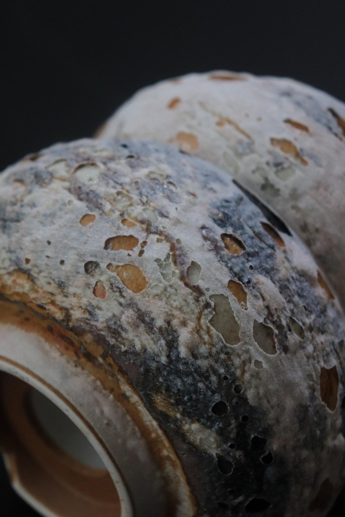Japanese Ceramic Bonsai Pot, Artist Made Textured Planter, Caudex Succulent Pot, Wabi Sabi Planter, One of a Kind Japanese Pottery