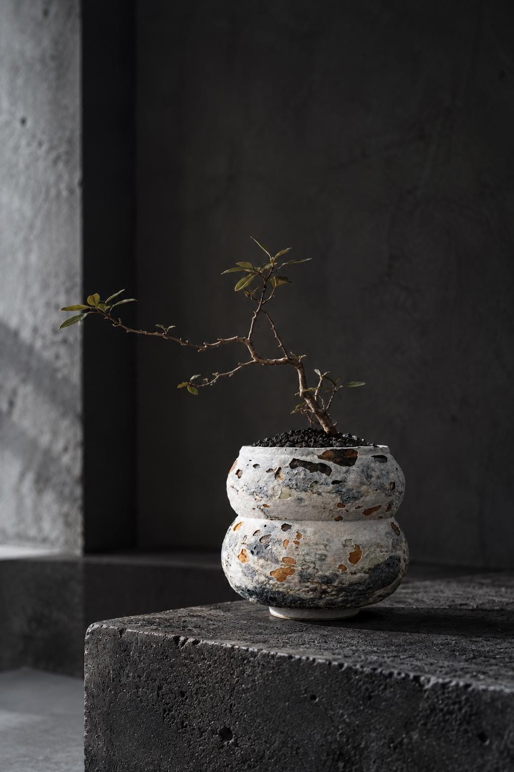 Japanese Ceramic Bonsai Pot, Artist Made Textured Planter, Caudex Succulent Pot, Wabi Sabi Planter, One of a Kind Japanese Pottery