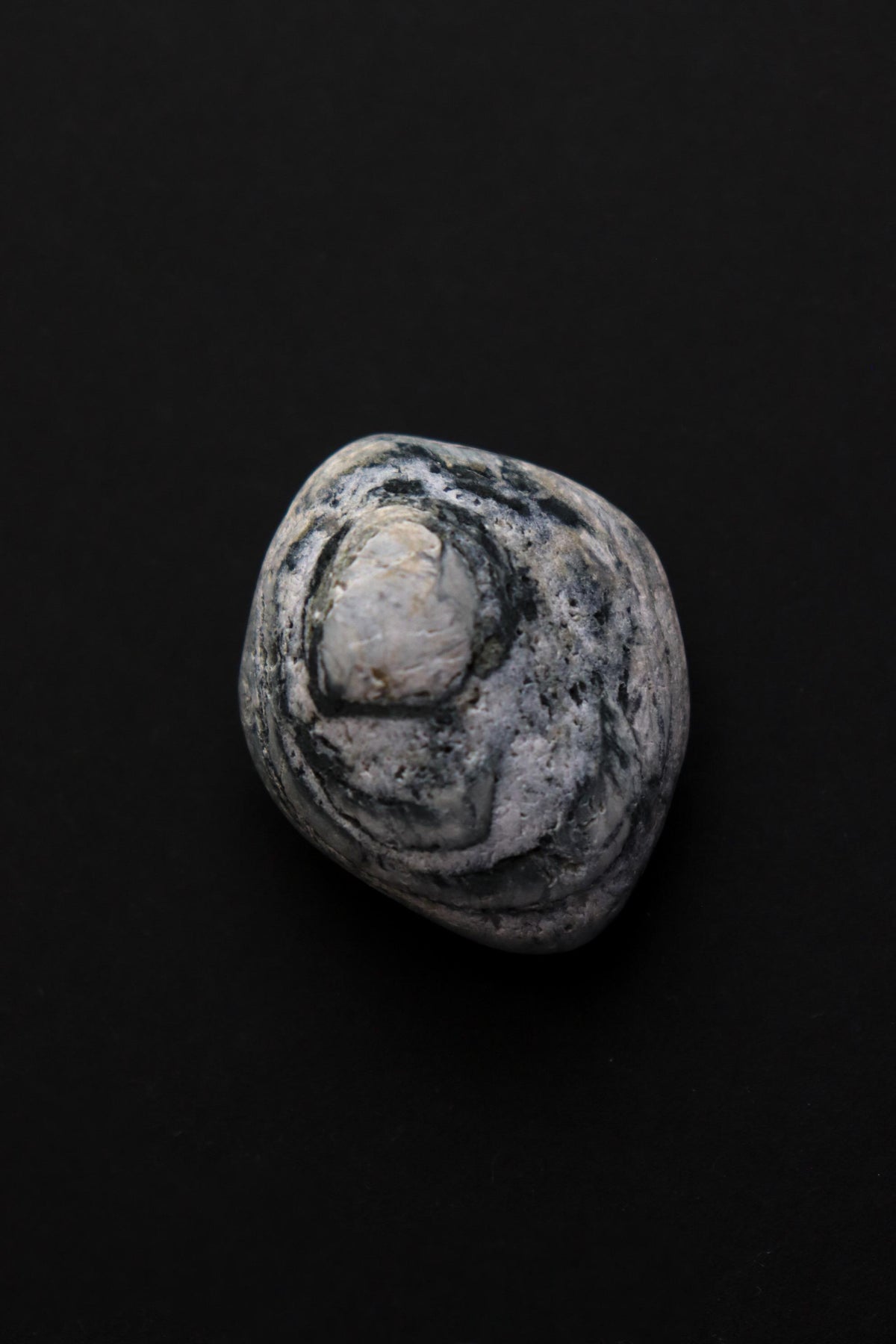 Silent Fragments — AFTER SUMMER (Box II) | Japanese Stone Art & Tsugaru Stones | Set of 5 Hand-Selected Natural Stones
